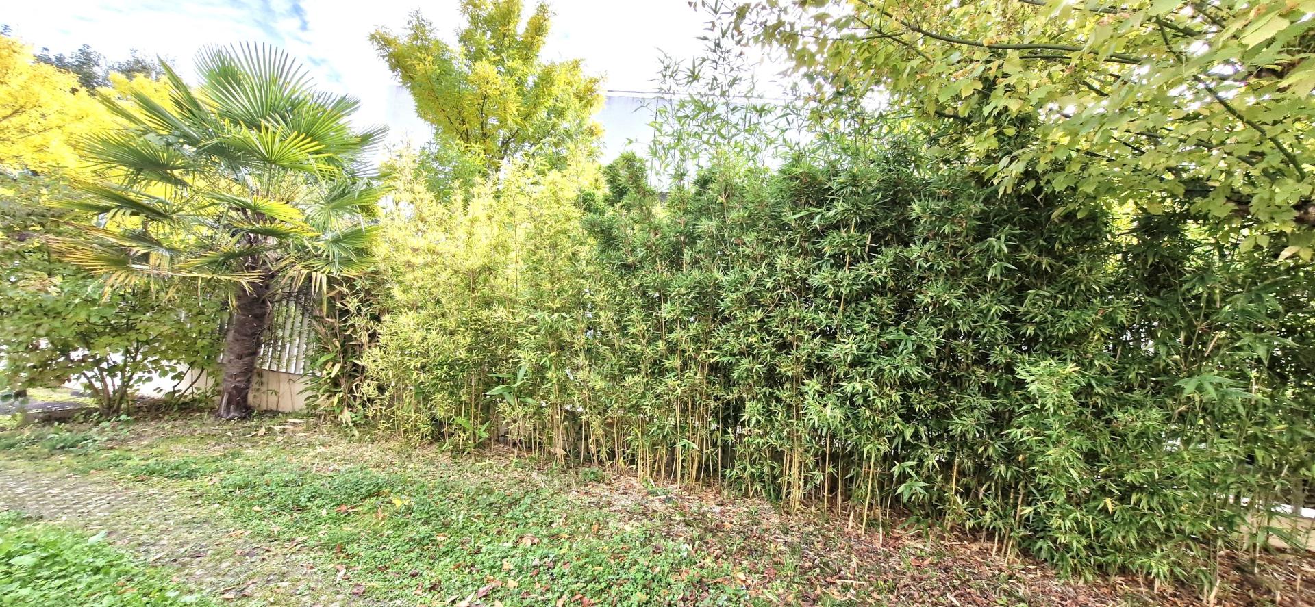 Photo 15 de l'annonce.