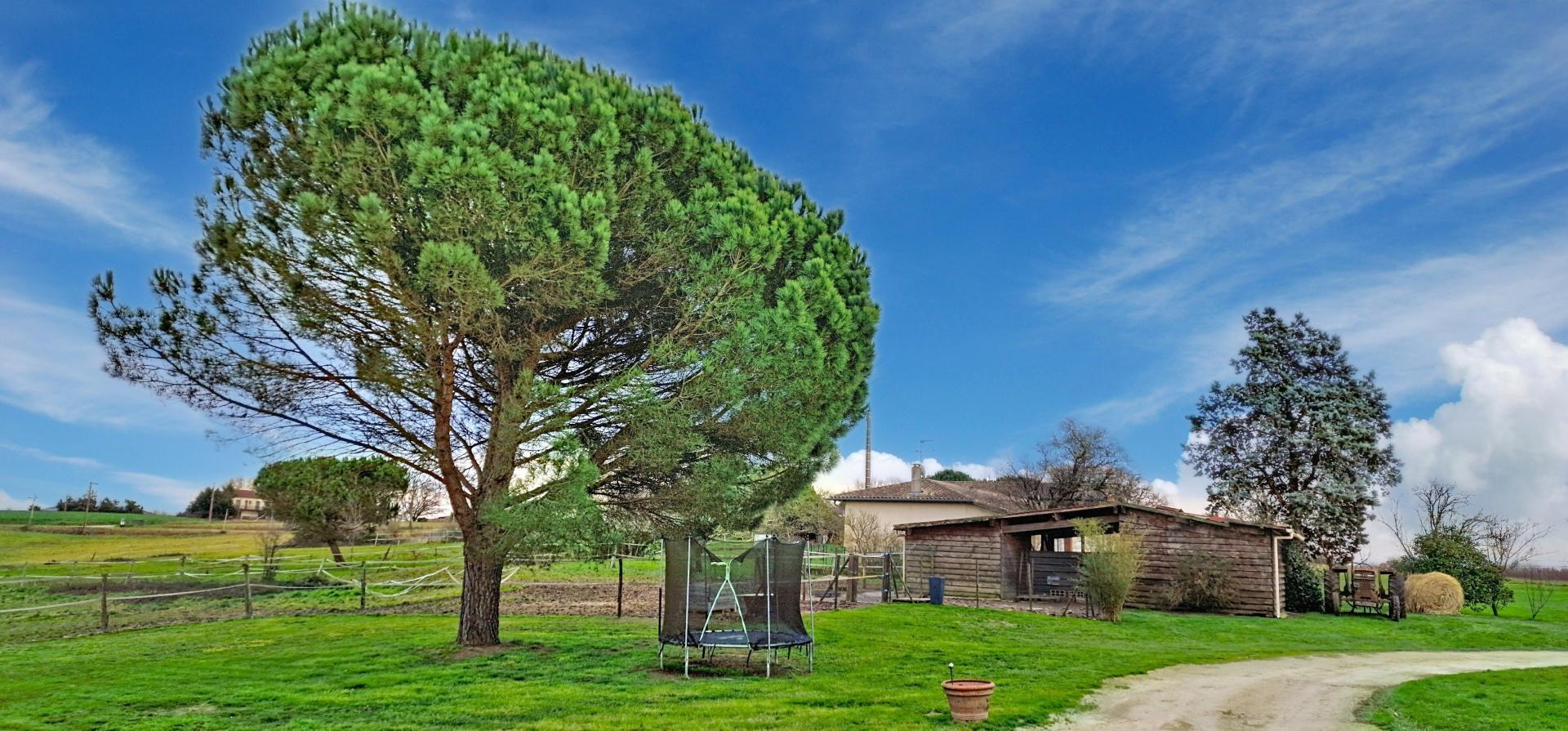 Photo 12 de l'annonce.