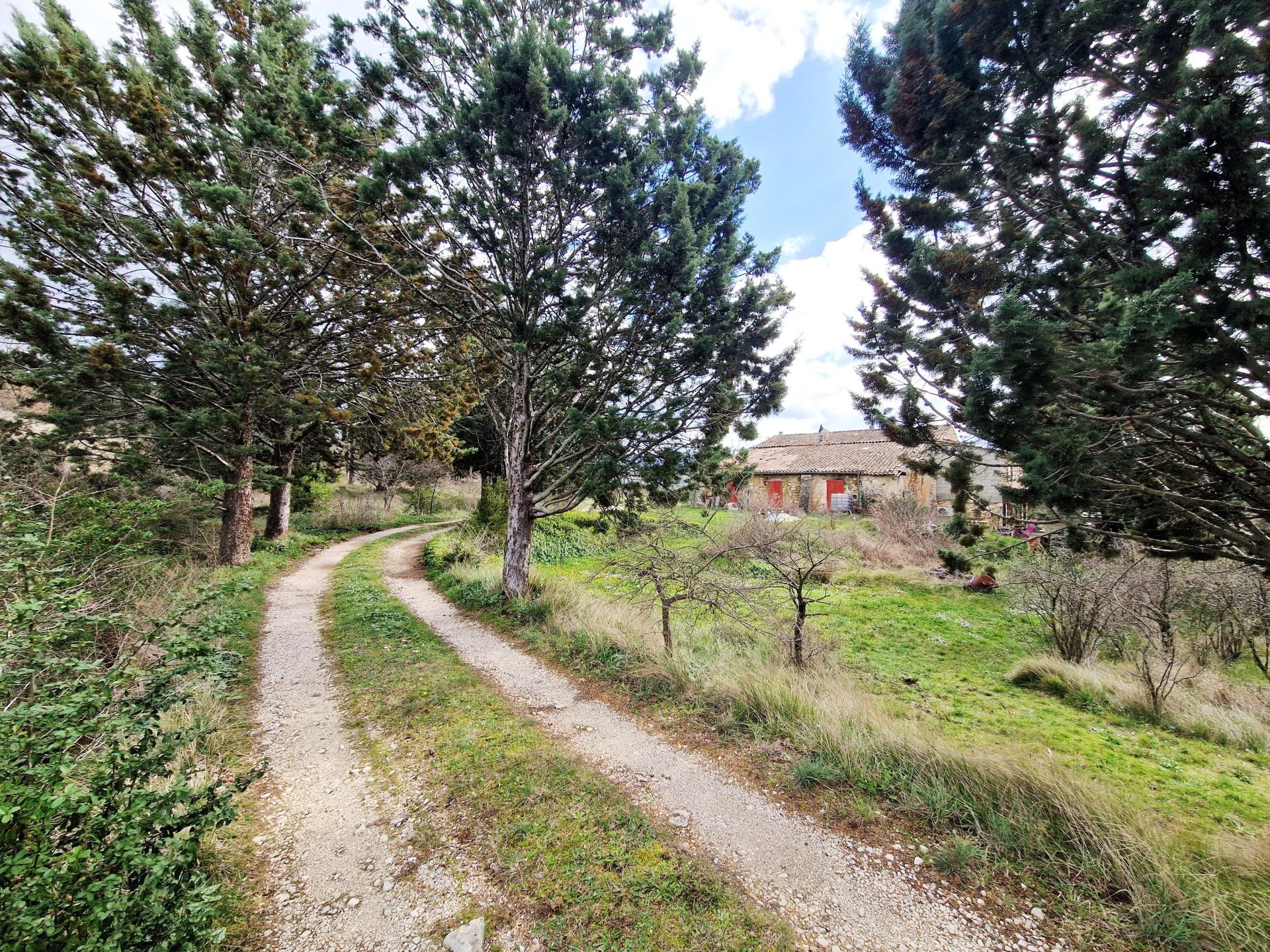 Photo 4 de l'annonce.