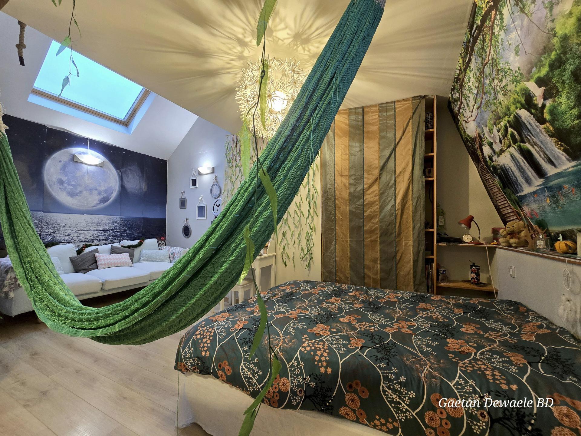 Photo 6 de l'annonce.