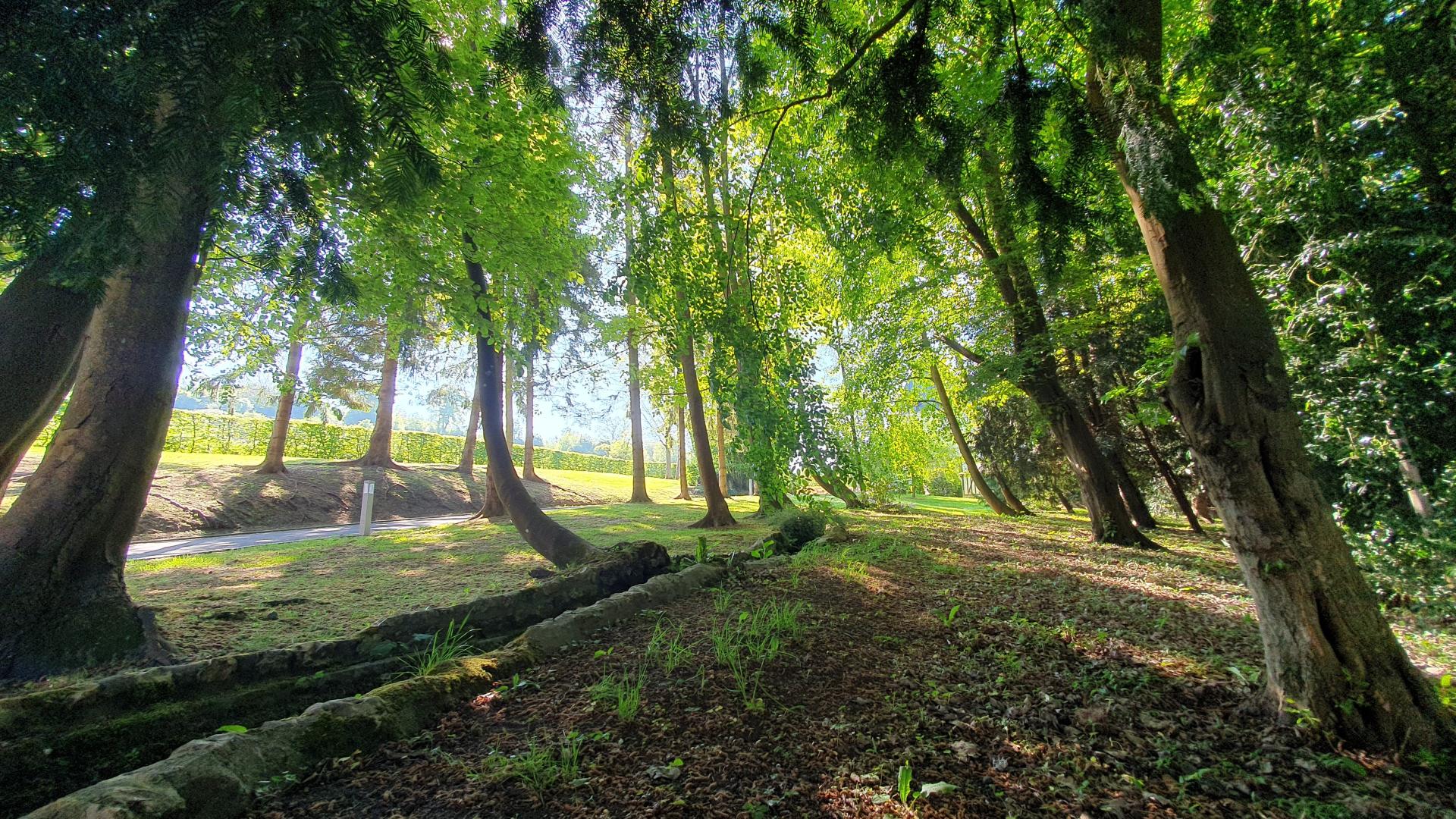 Photo 15 de l'annonce.