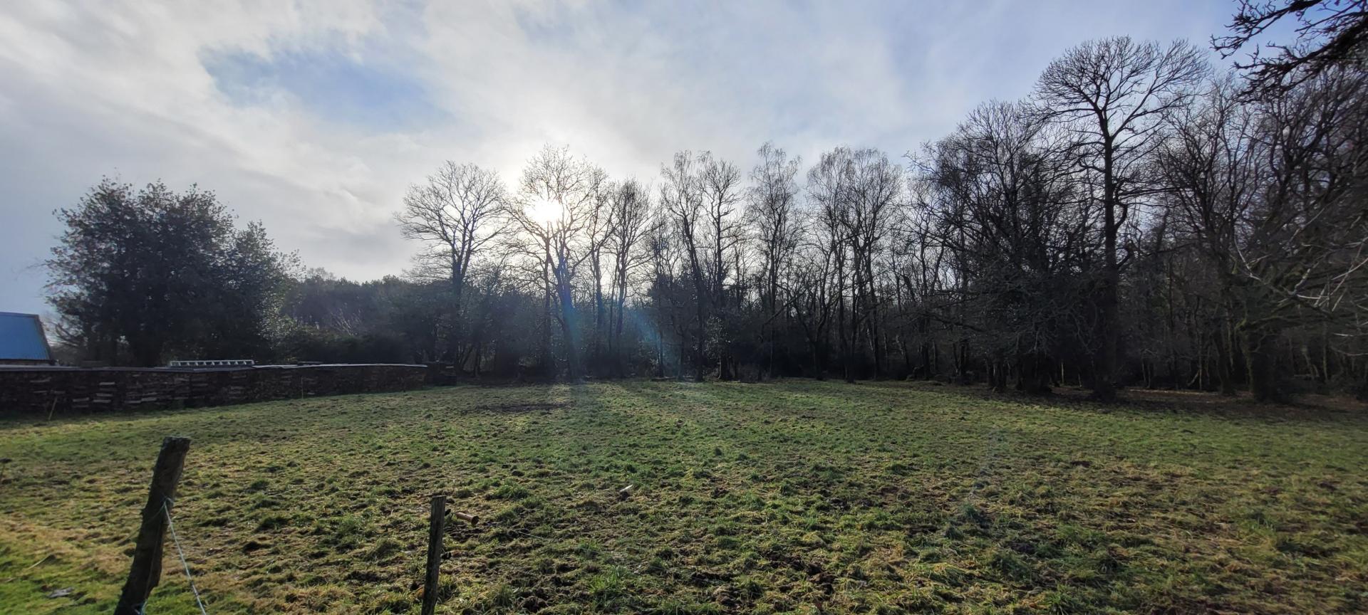 Photo 7 de l'annonce.