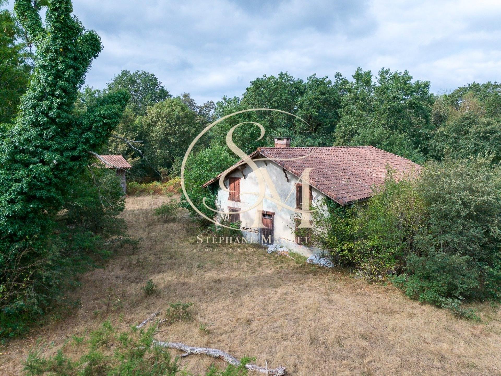 Photo SAFTI — Maison 6 pièces, 250 m² à Labrit 2