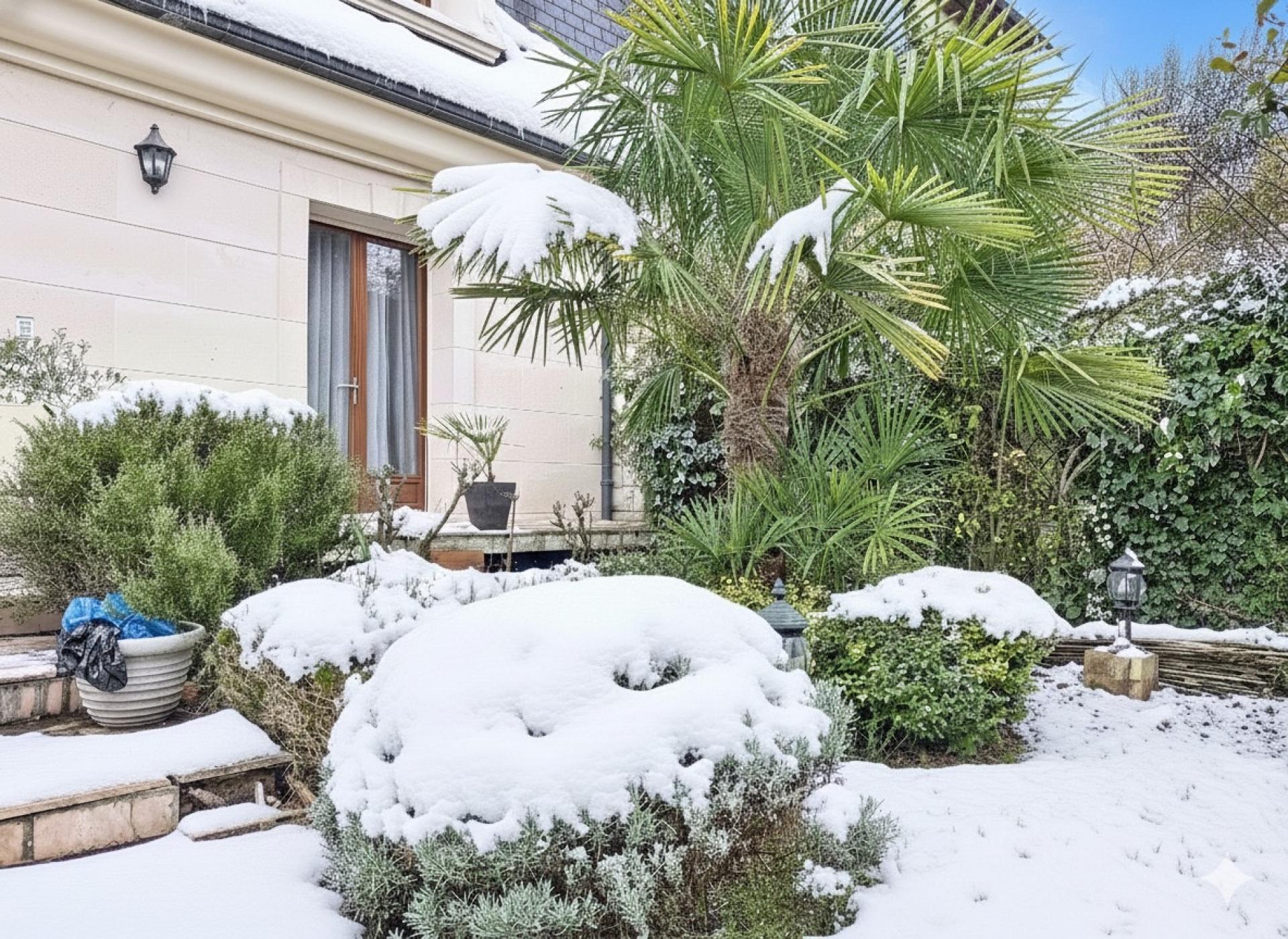 Photo 4 de l'annonce.