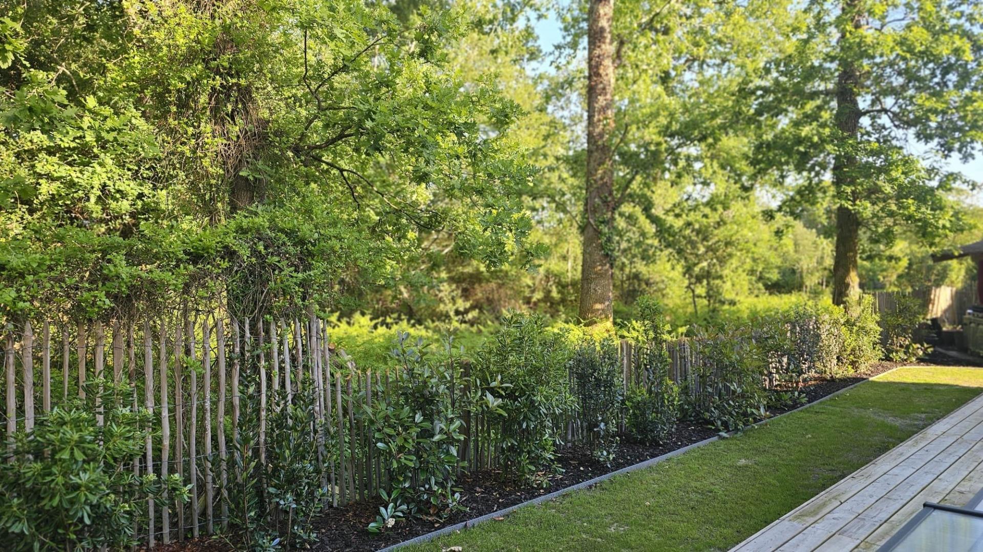 Photo 12 de l'annonce.