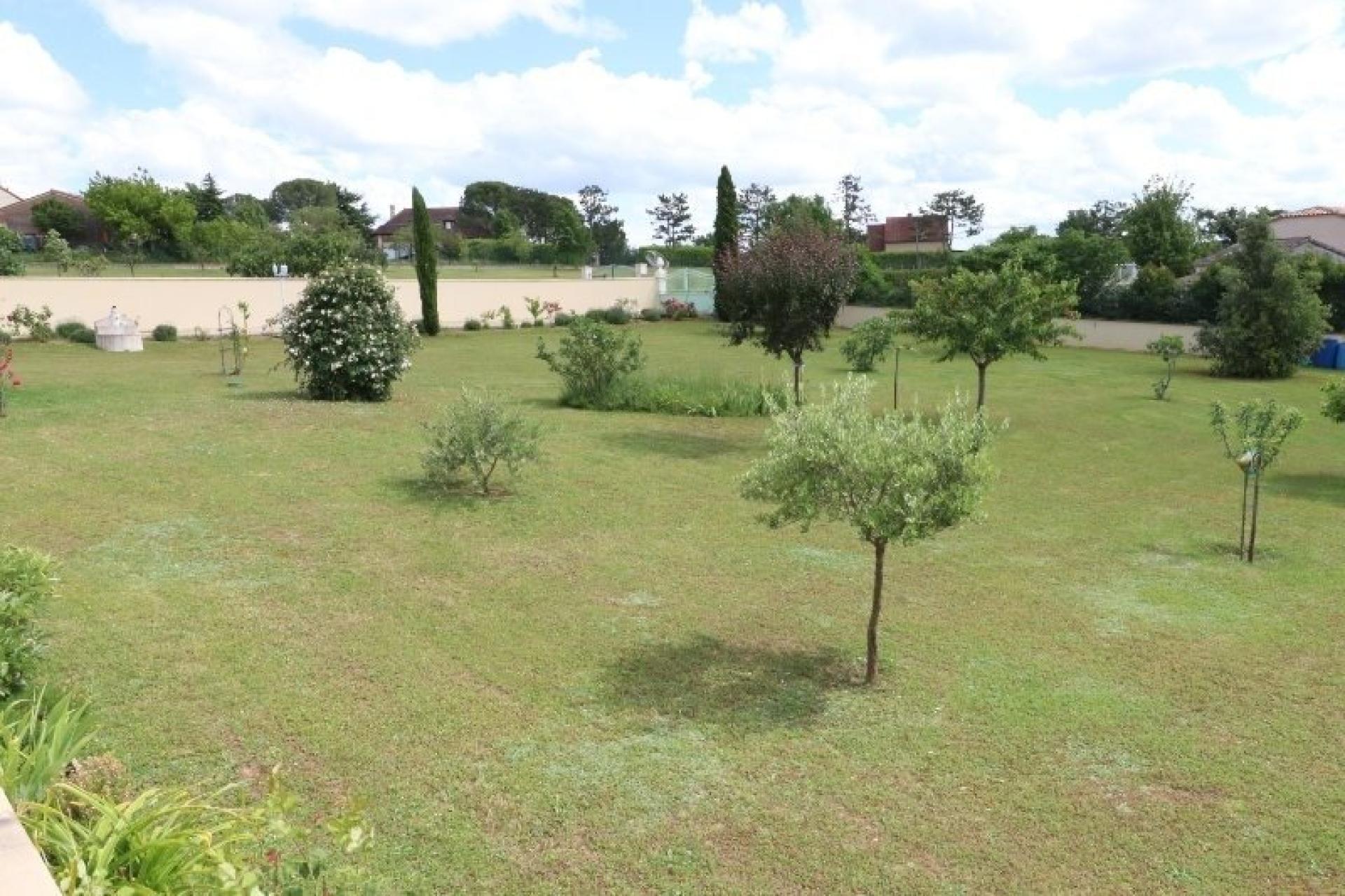 Photo 7 de l'annonce.