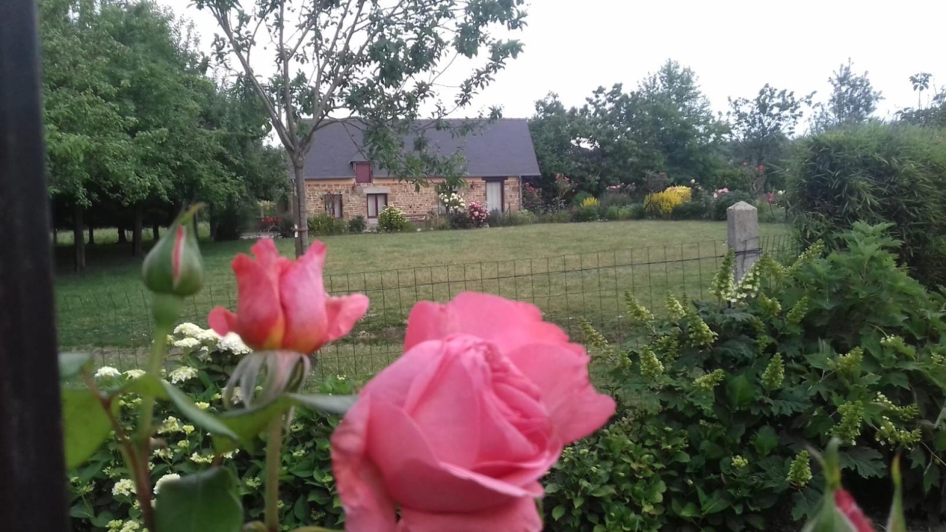 Foto 20 del anuncio.