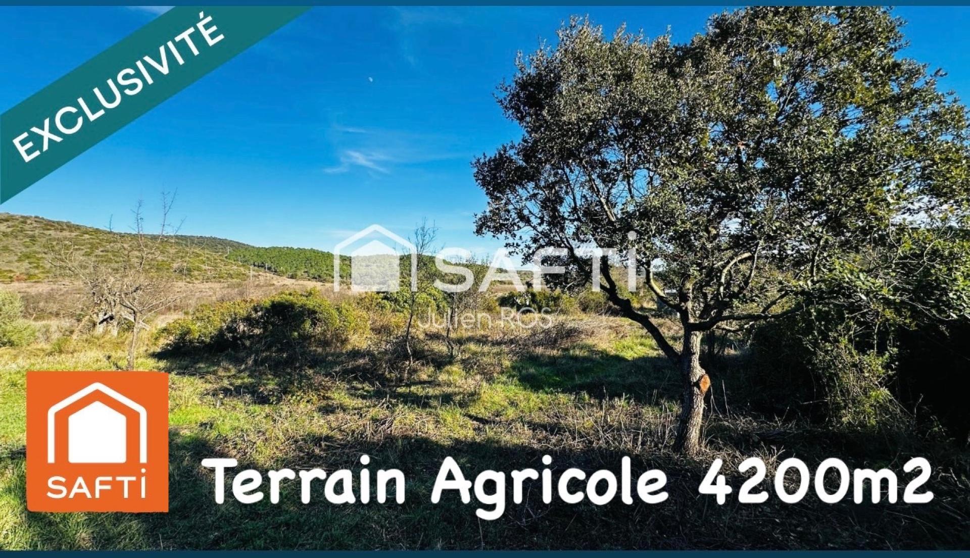 Photo-terrain