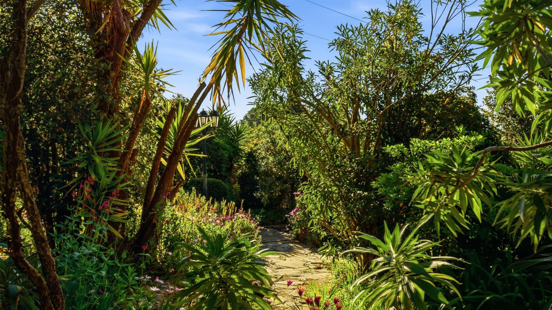 Photo 21 de l'annonce.