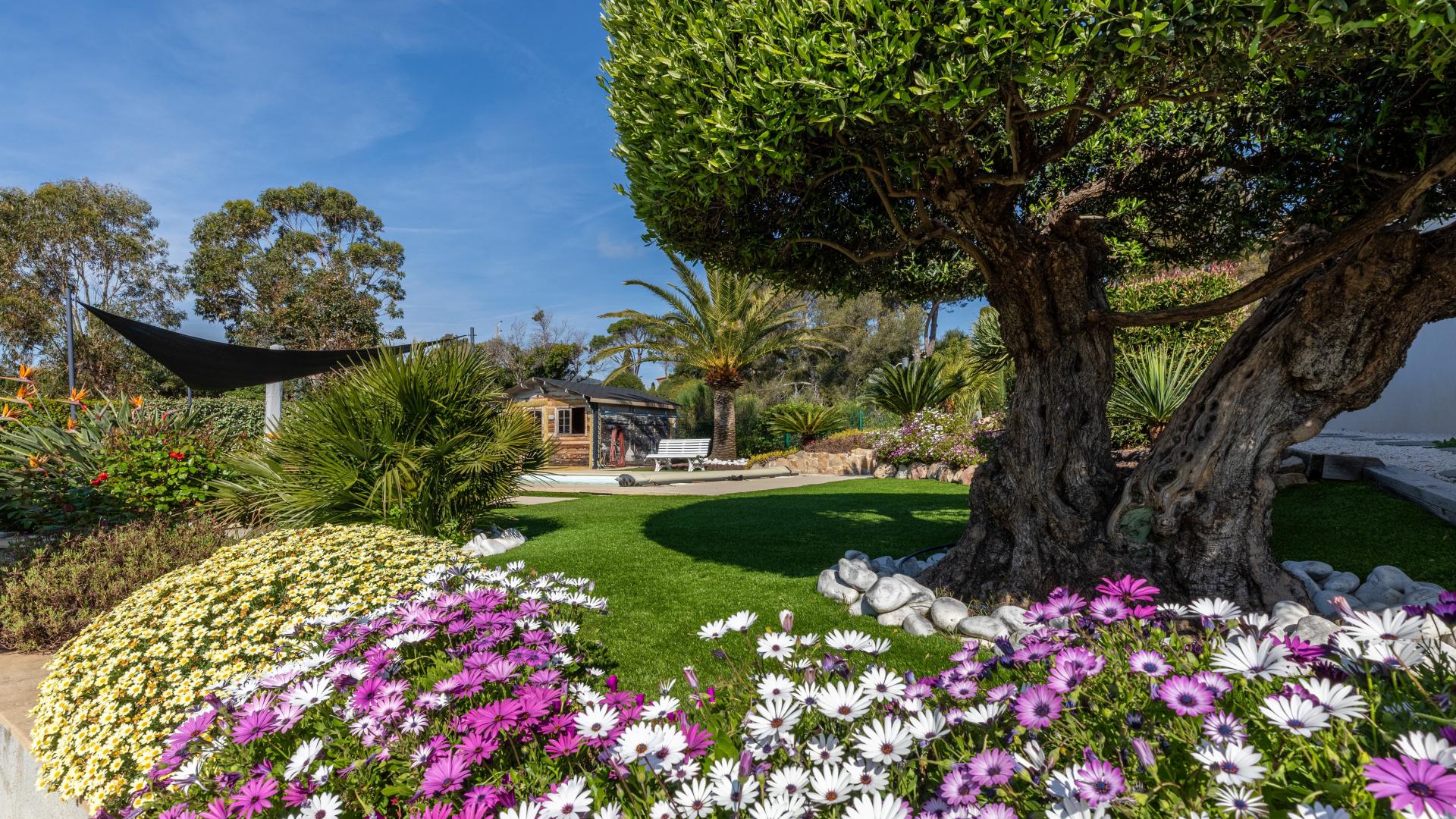 Photo 12 de l'annonce.