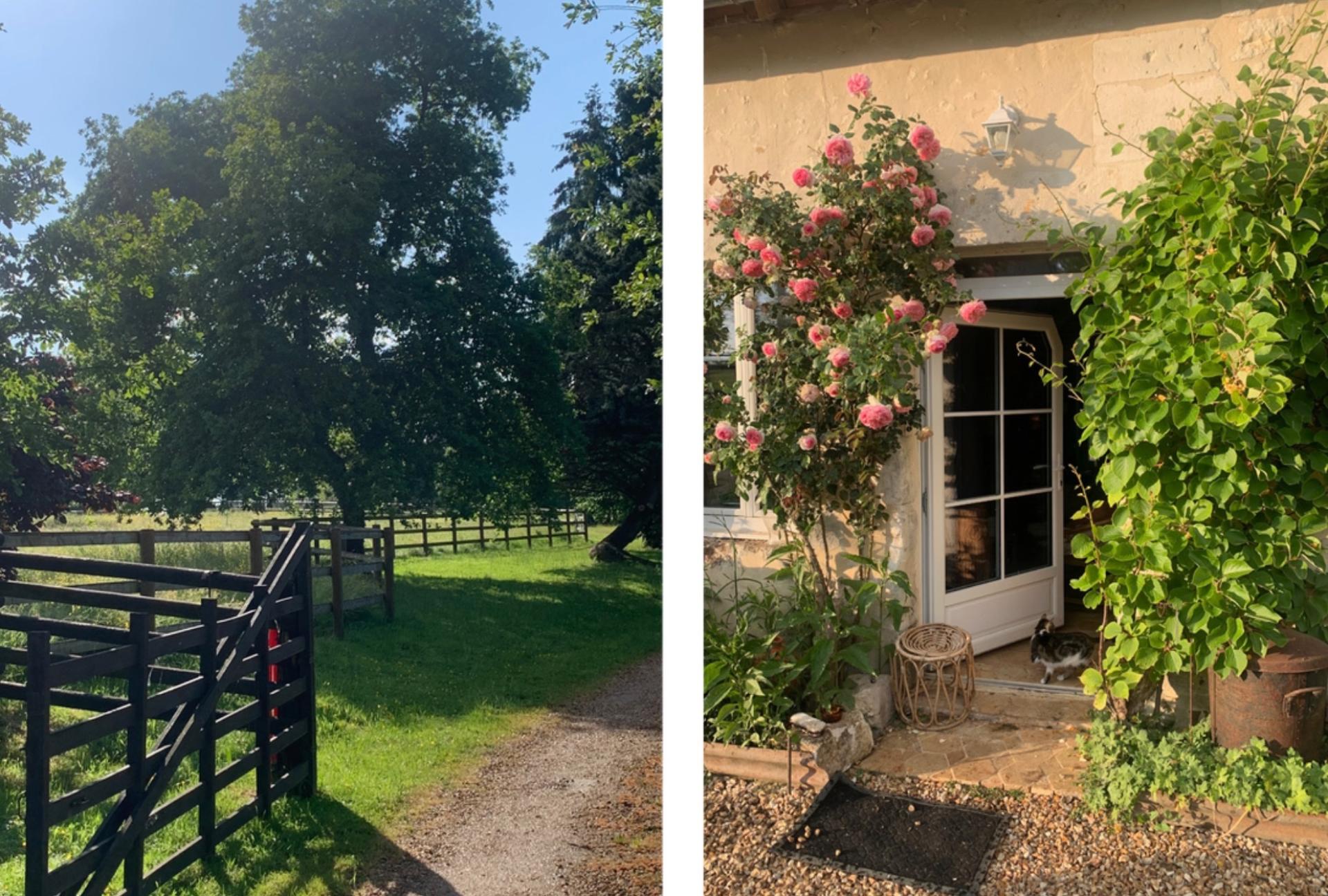 Photo 32 de l'annonce.