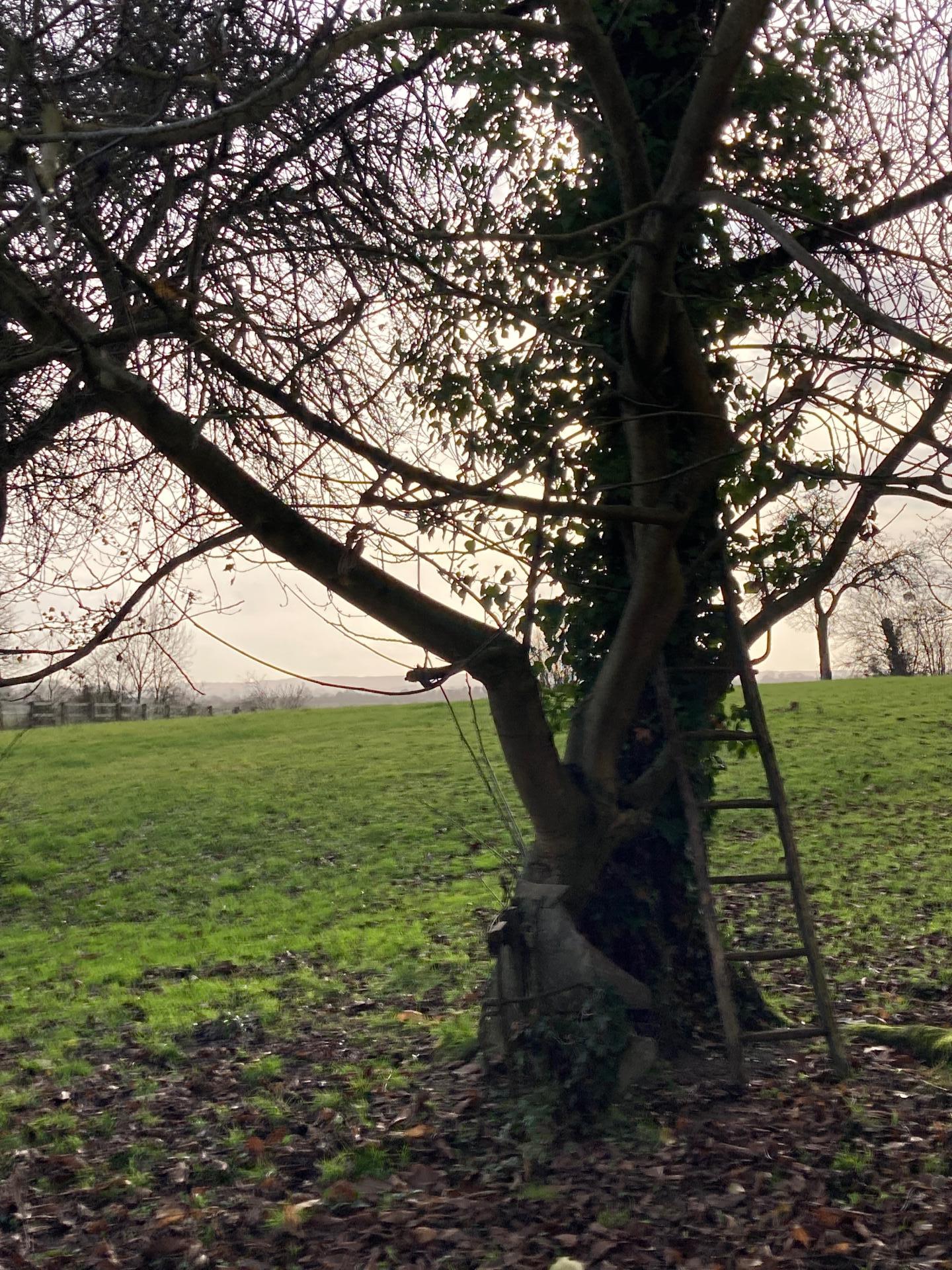 Photo 27 de l'annonce.