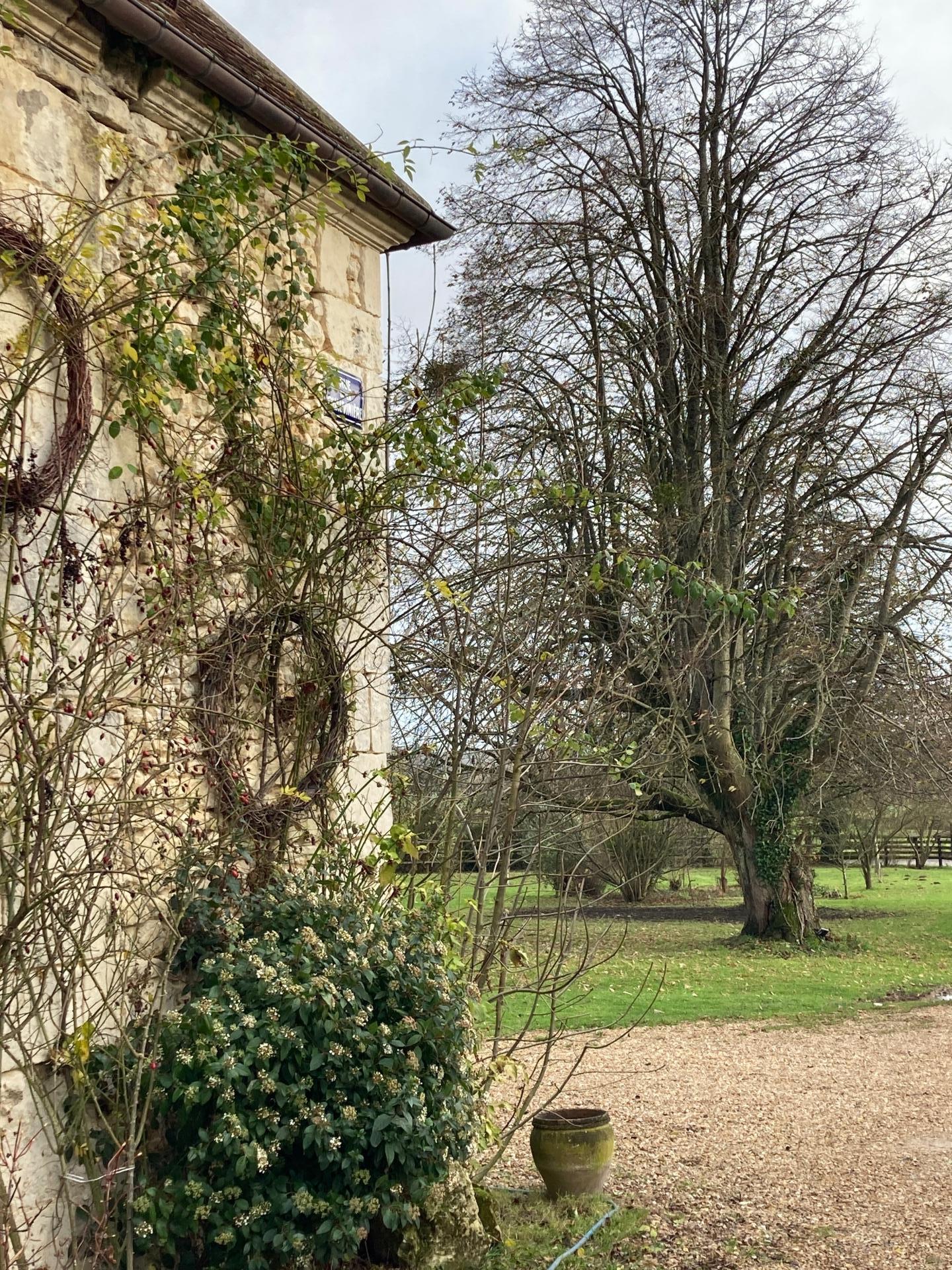 Photo 28 de l'annonce.