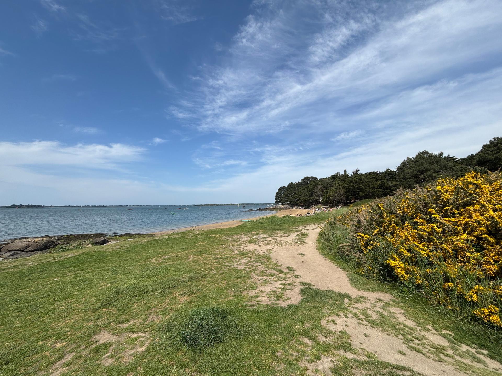 Photo 11 de l'annonce.