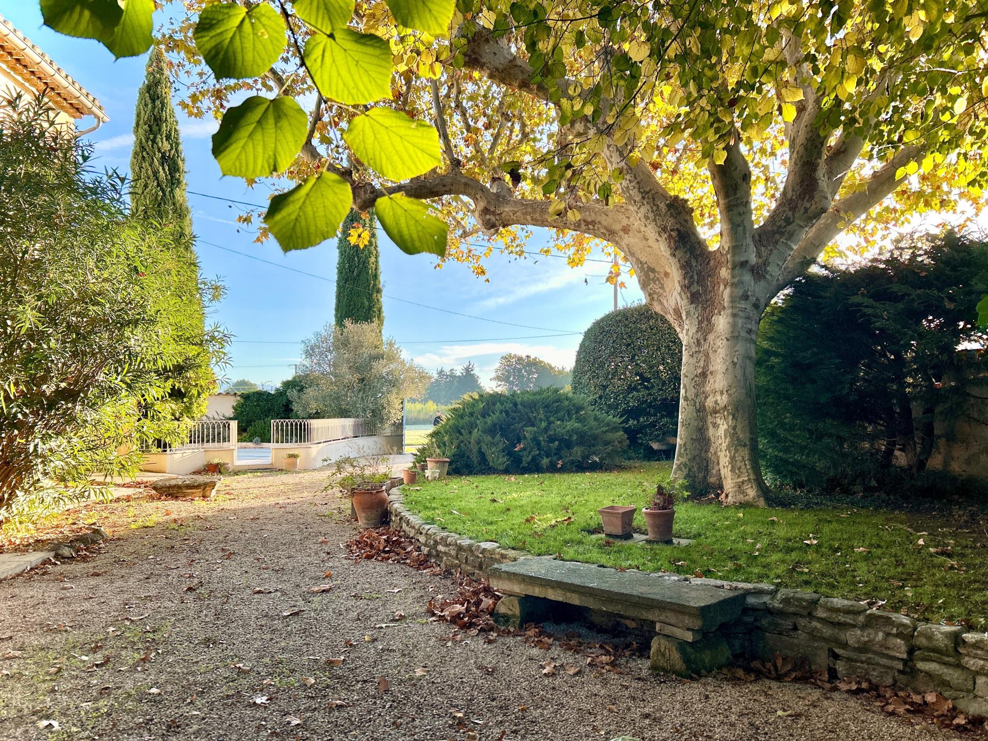 Photo 3 de l'annonce.