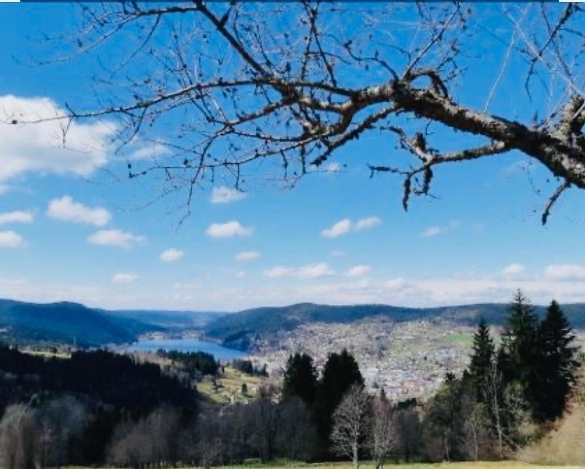 Photo 12 of the listing.