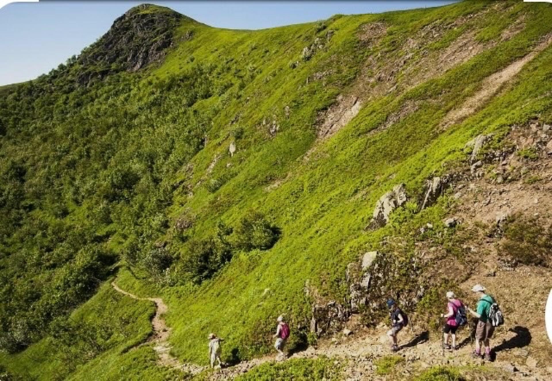 Photo 22 of the listing.