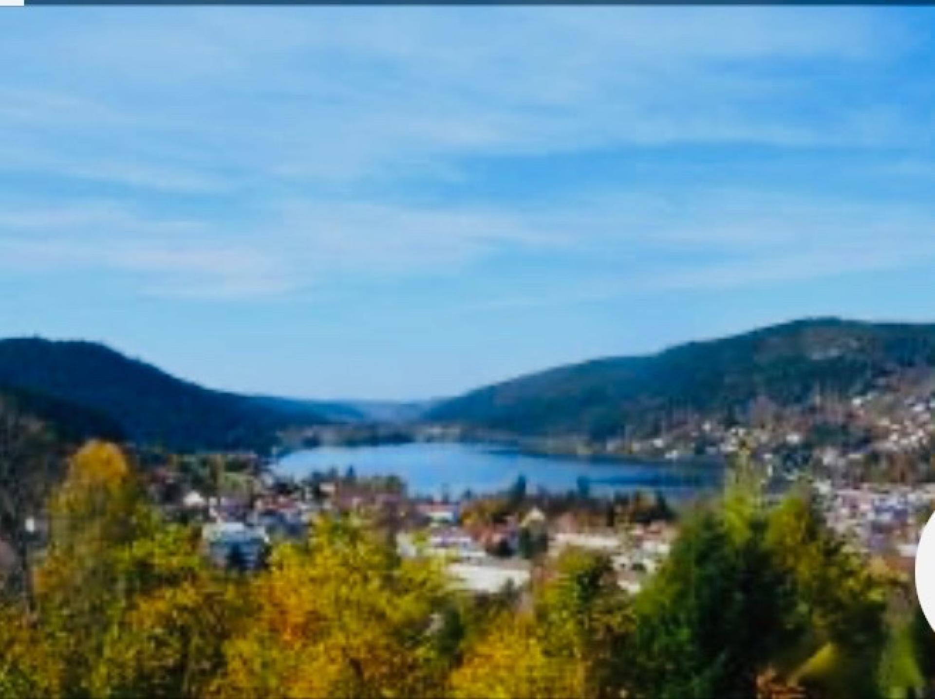 Photo 13 of the listing.