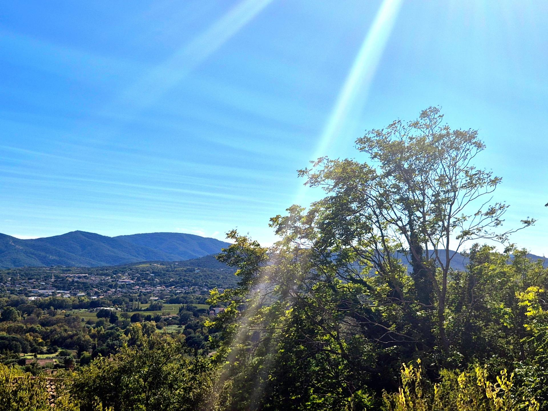 Photo 20 de l'annonce.