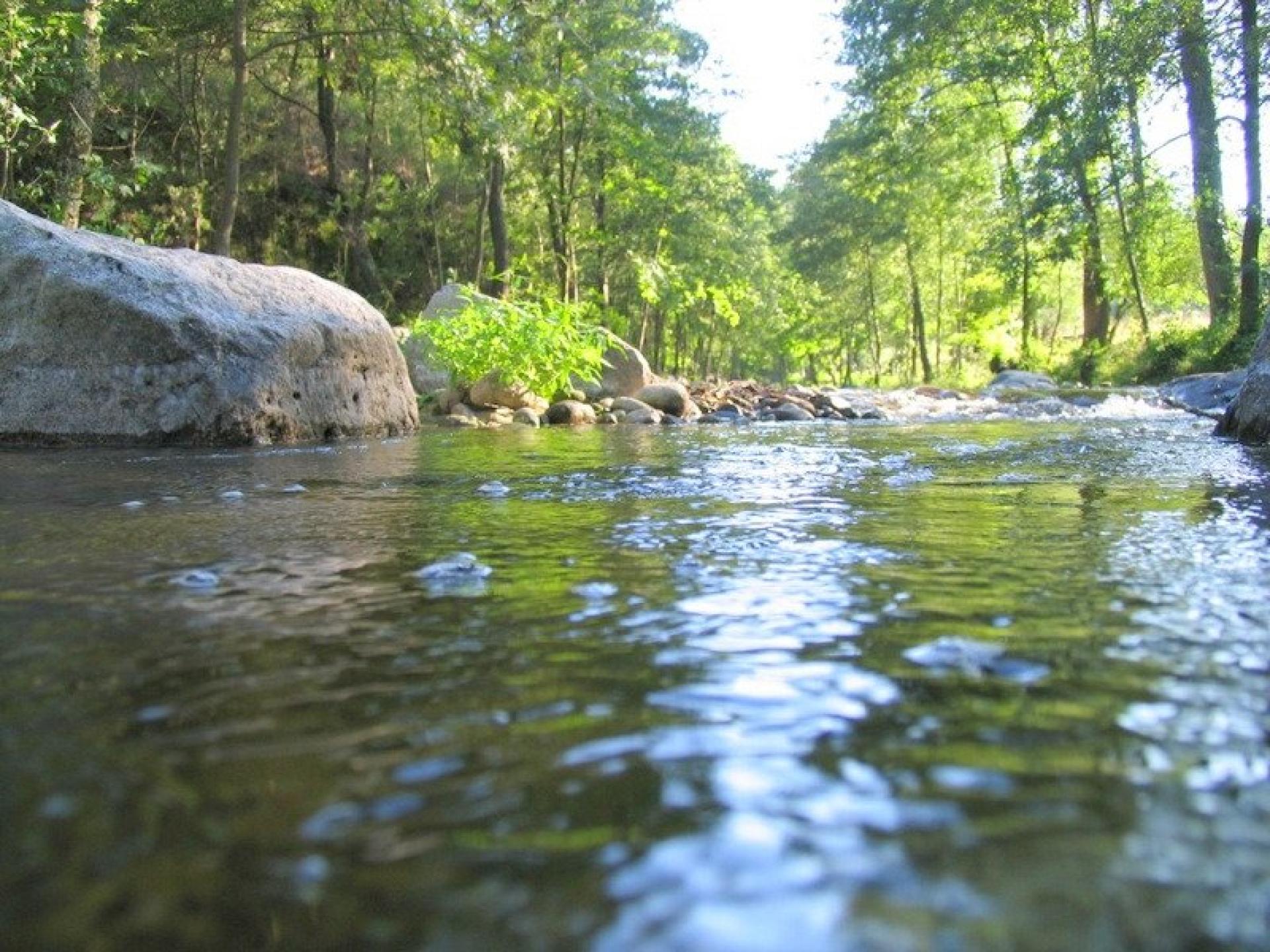 Photo 33 de l'annonce.