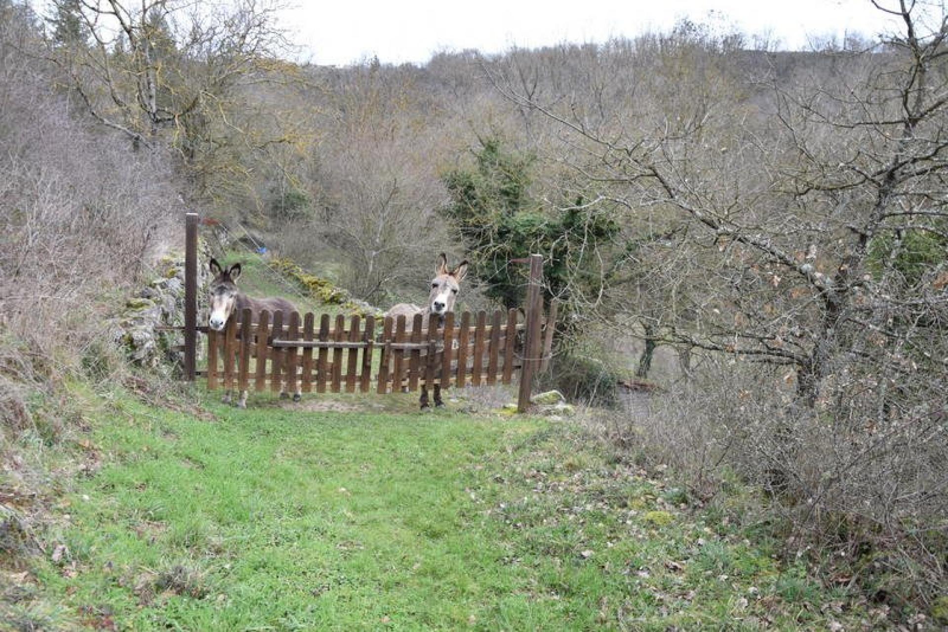 Photo 32 de l'annonce.