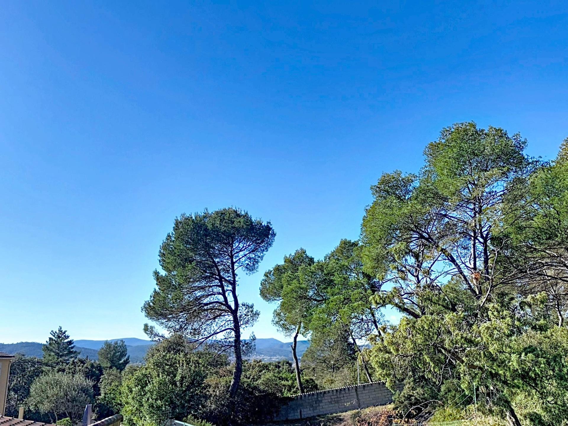 Photo 5 de l'annonce.