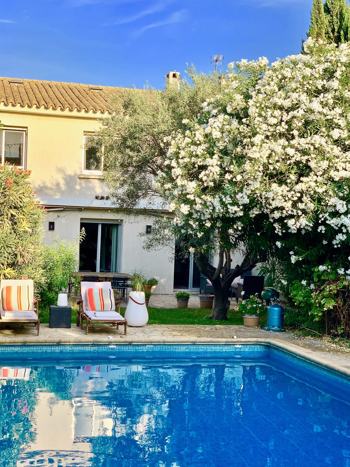 Photo 11 de l'annonce.