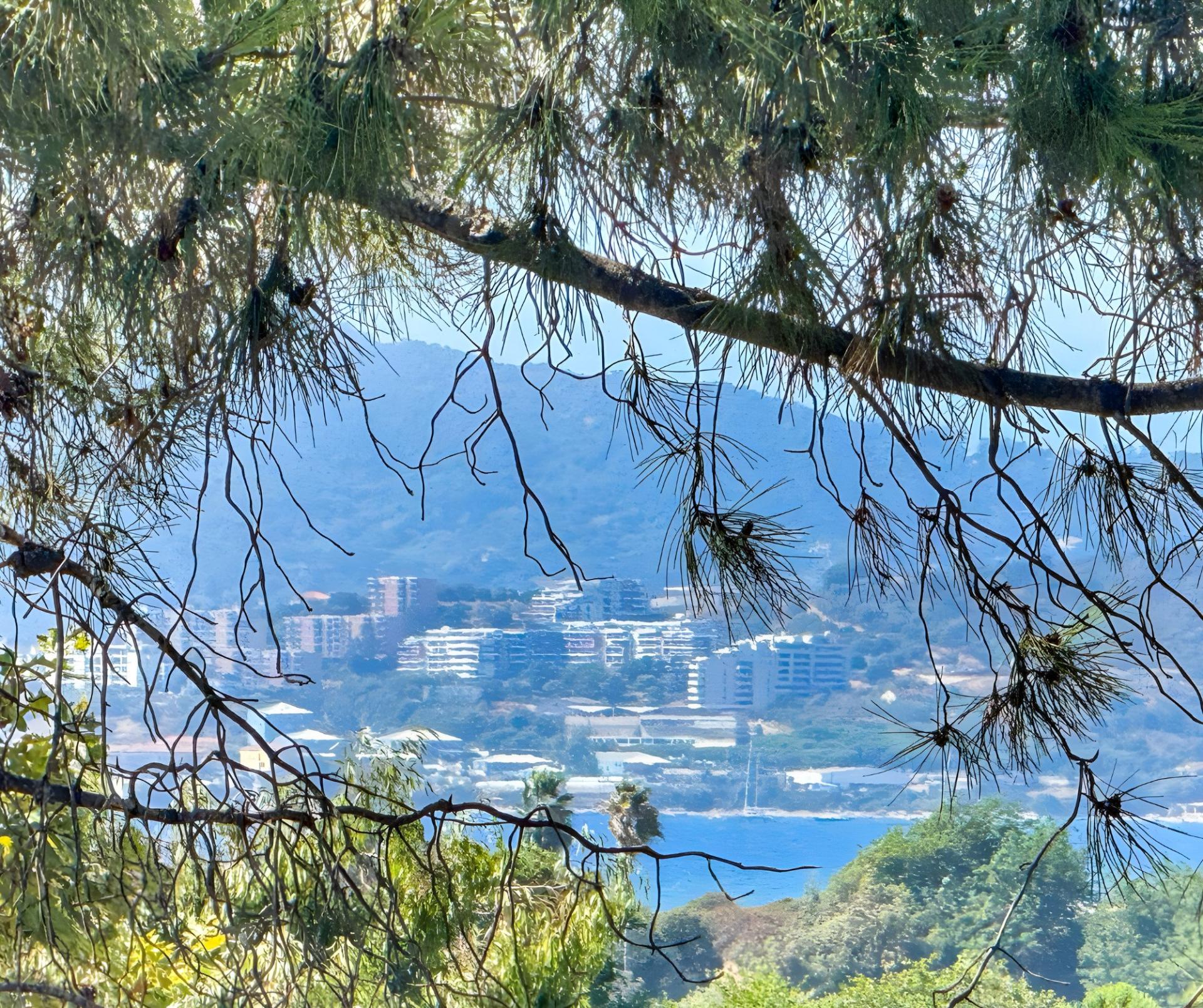 Photo 2 de l'annonce.