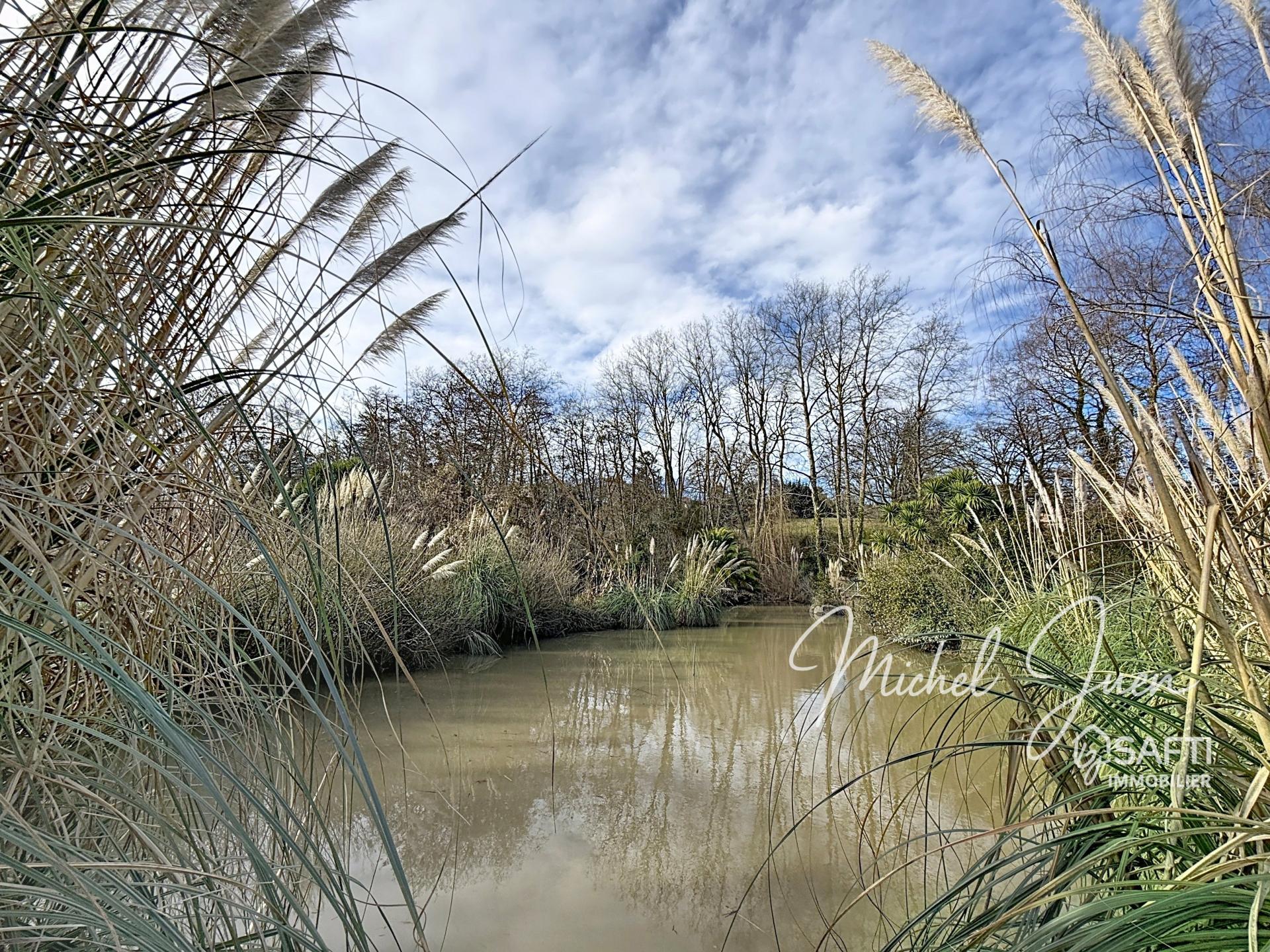 Photo 18 de l'annonce.