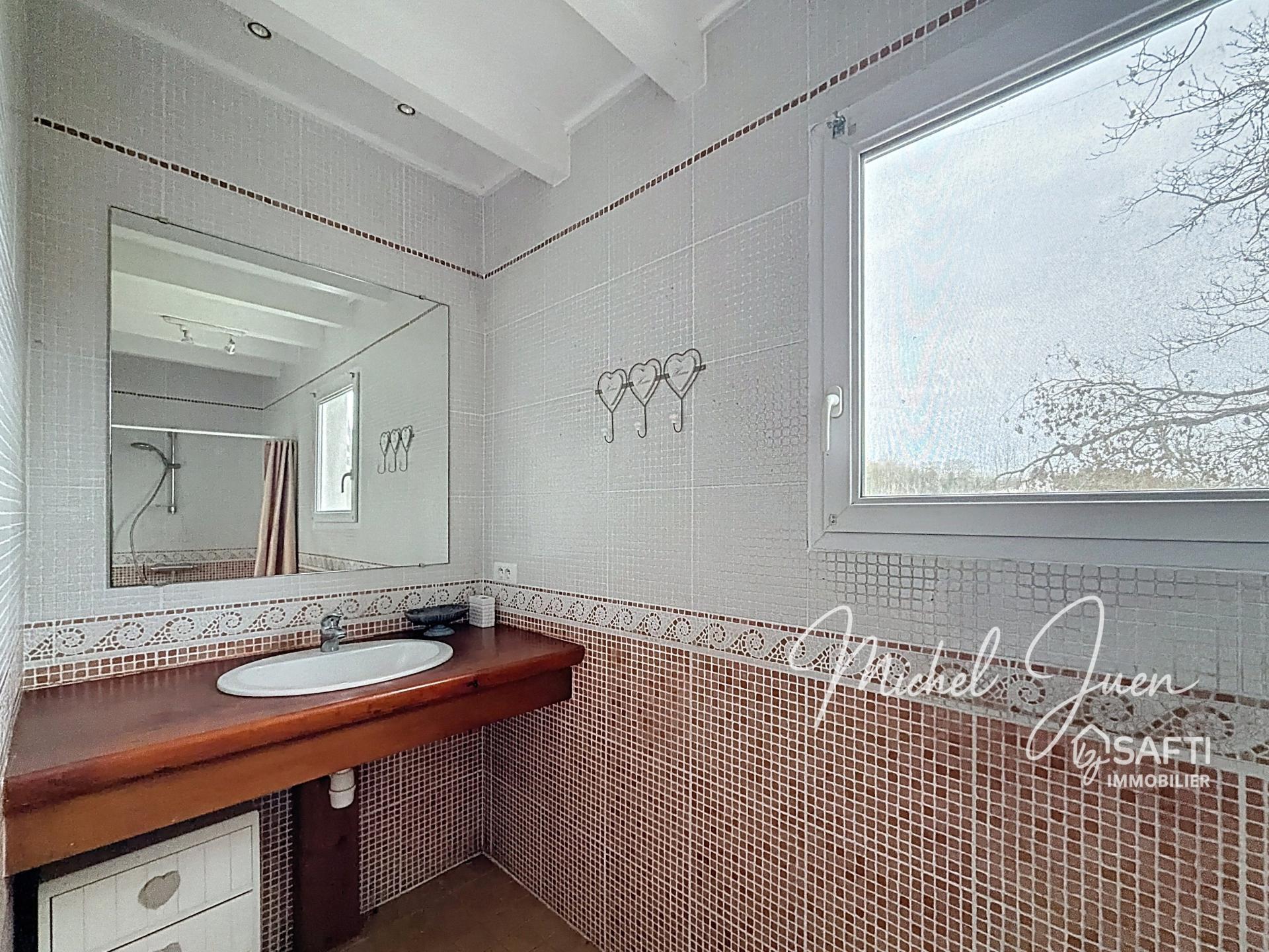 Photo 15 de l'annonce.