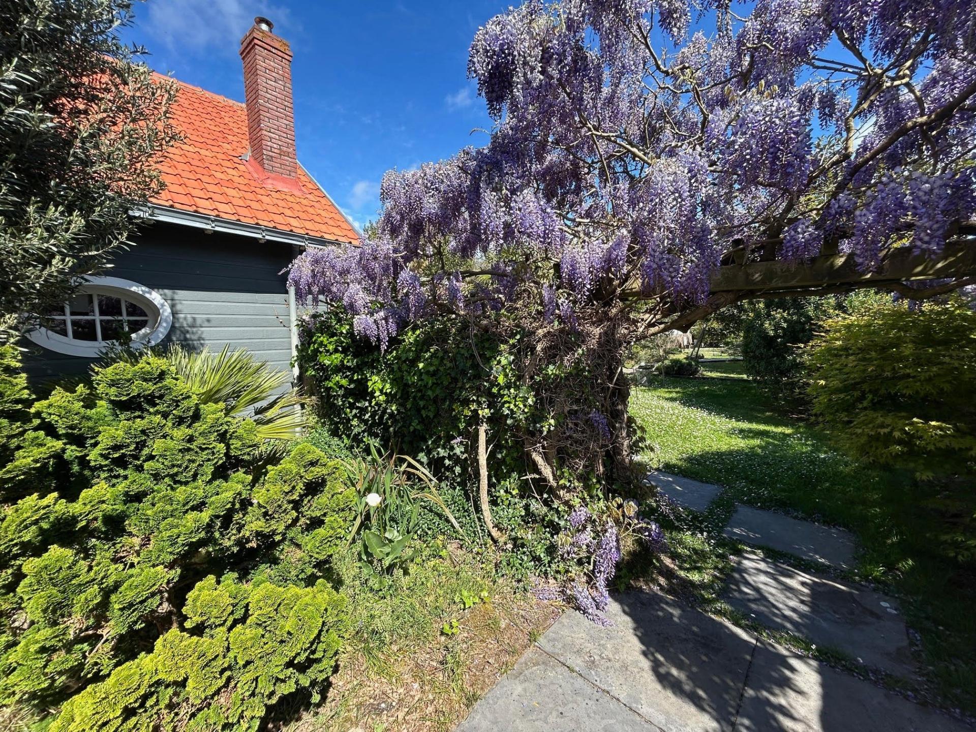 Photo 2 de l'annonce.