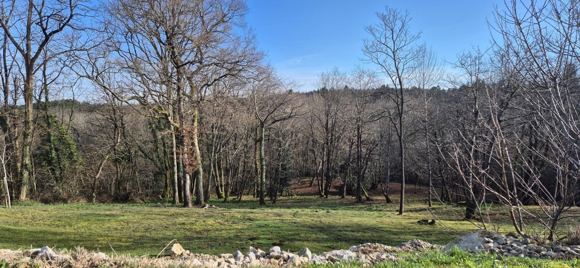 Photo 15 de l'annonce.