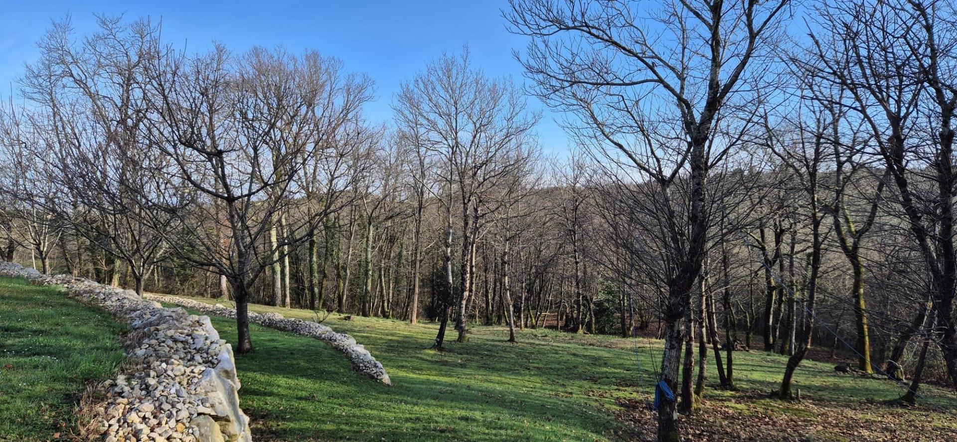 Photo 7 de l'annonce.