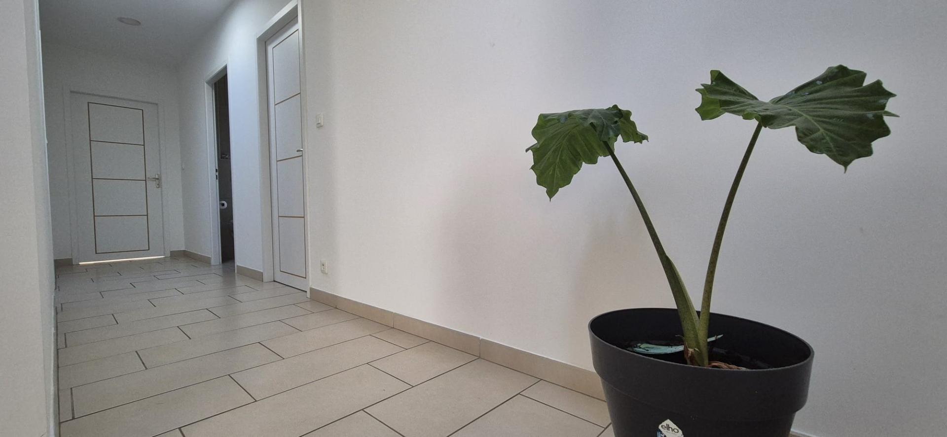 Photo 8 de l'annonce.