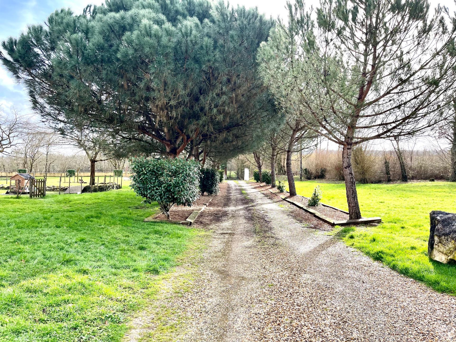 Photo 25 de l'annonce.