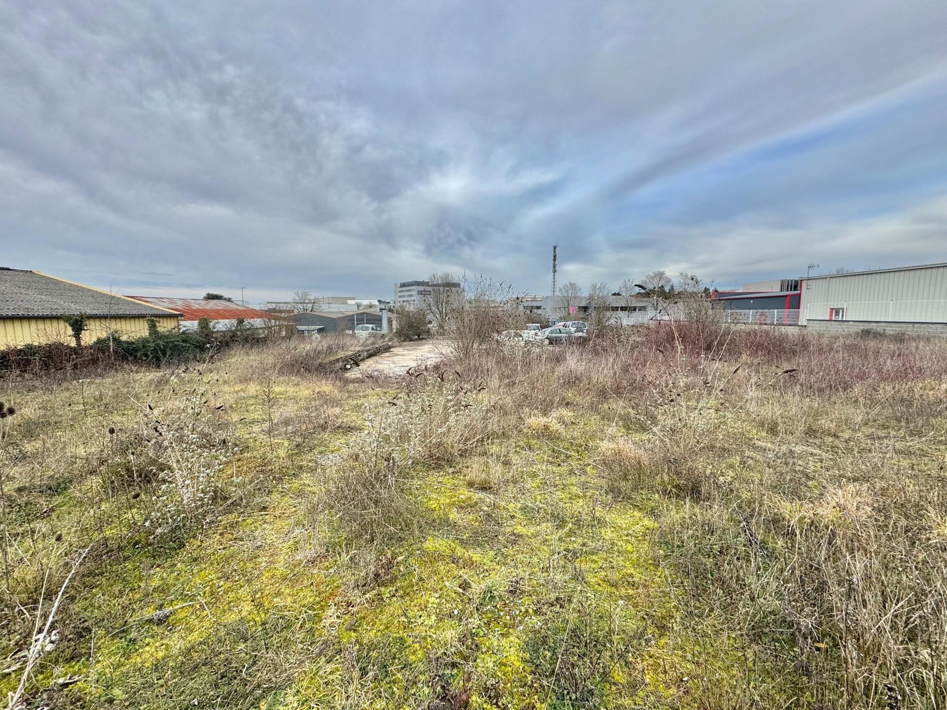 Photo 3 de l'annonce.