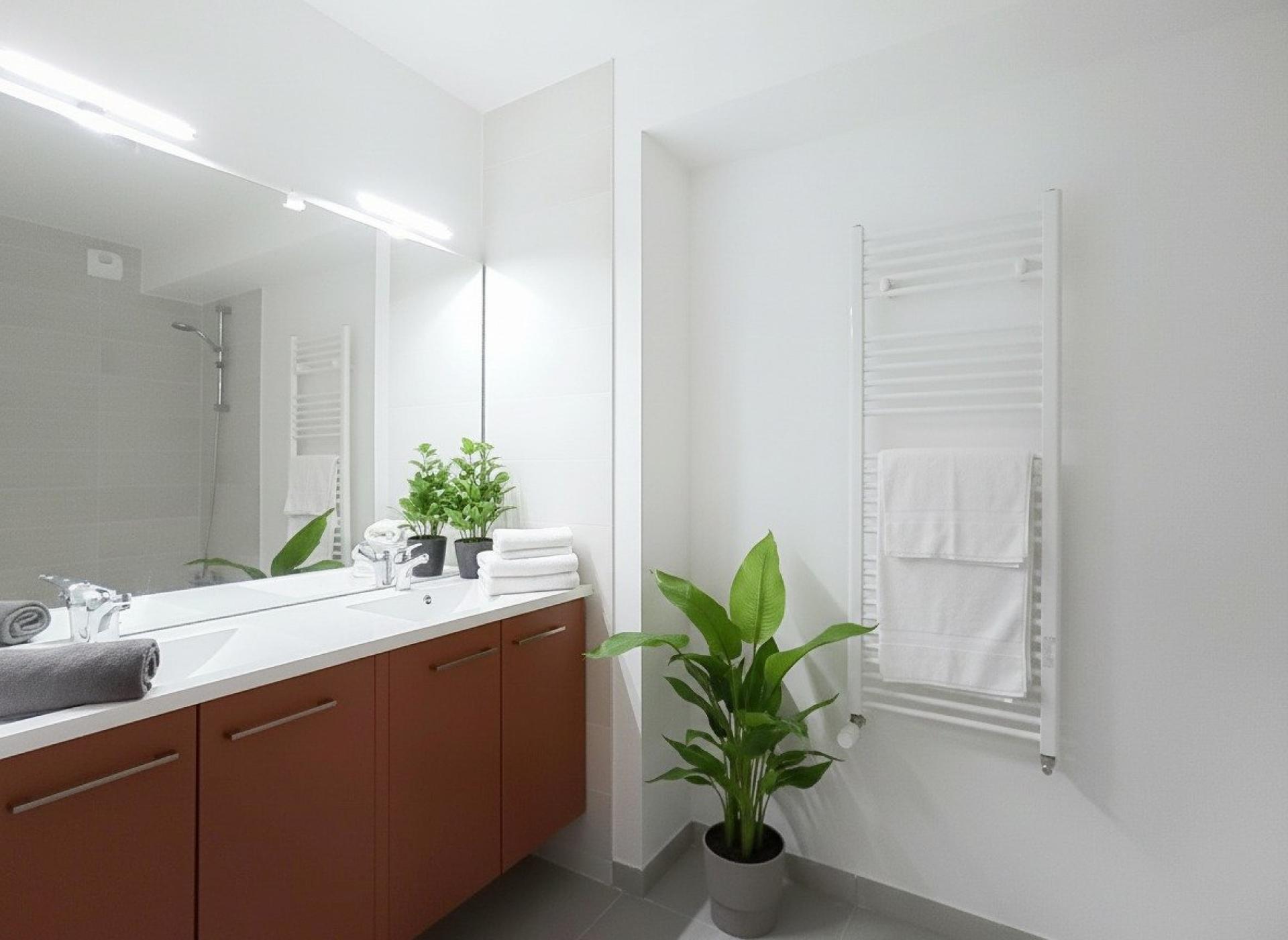 Photo 9 de l'annonce.