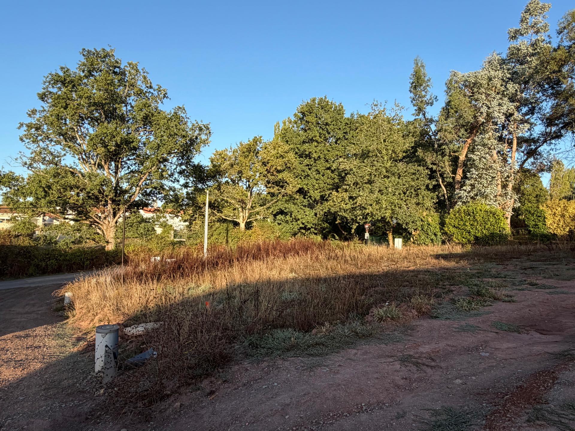 Photo-terrain