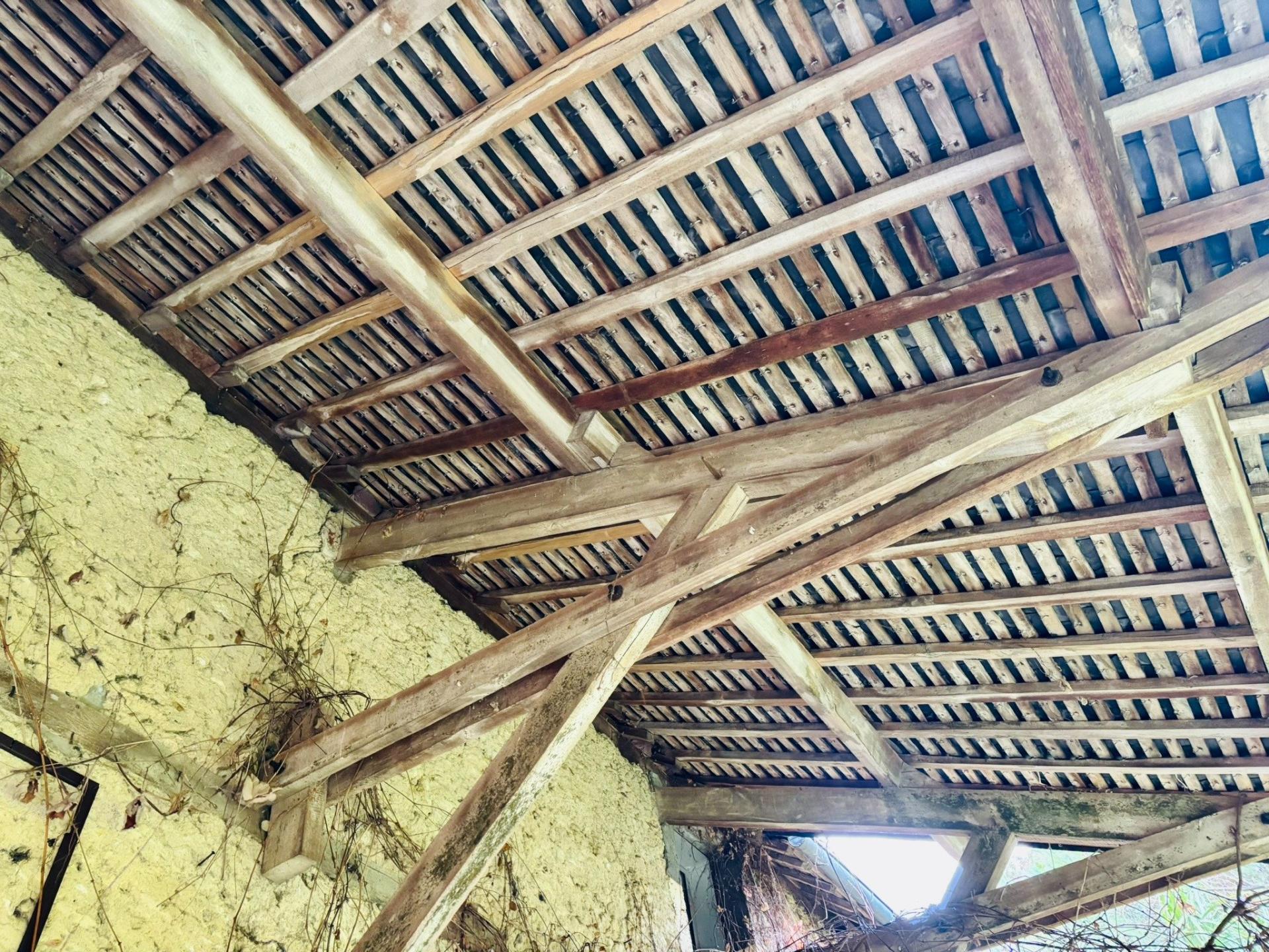 Photo 5 of the listing.