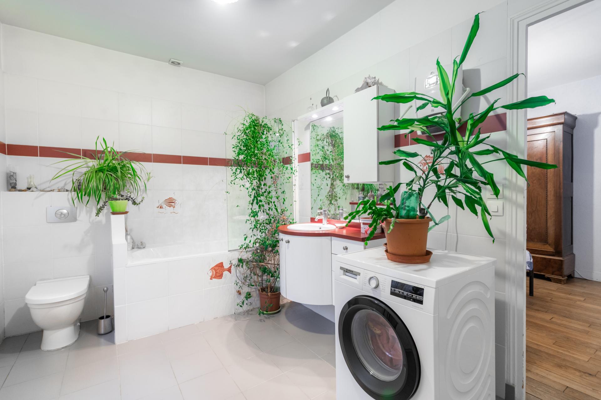 Photo 11 de l'annonce.