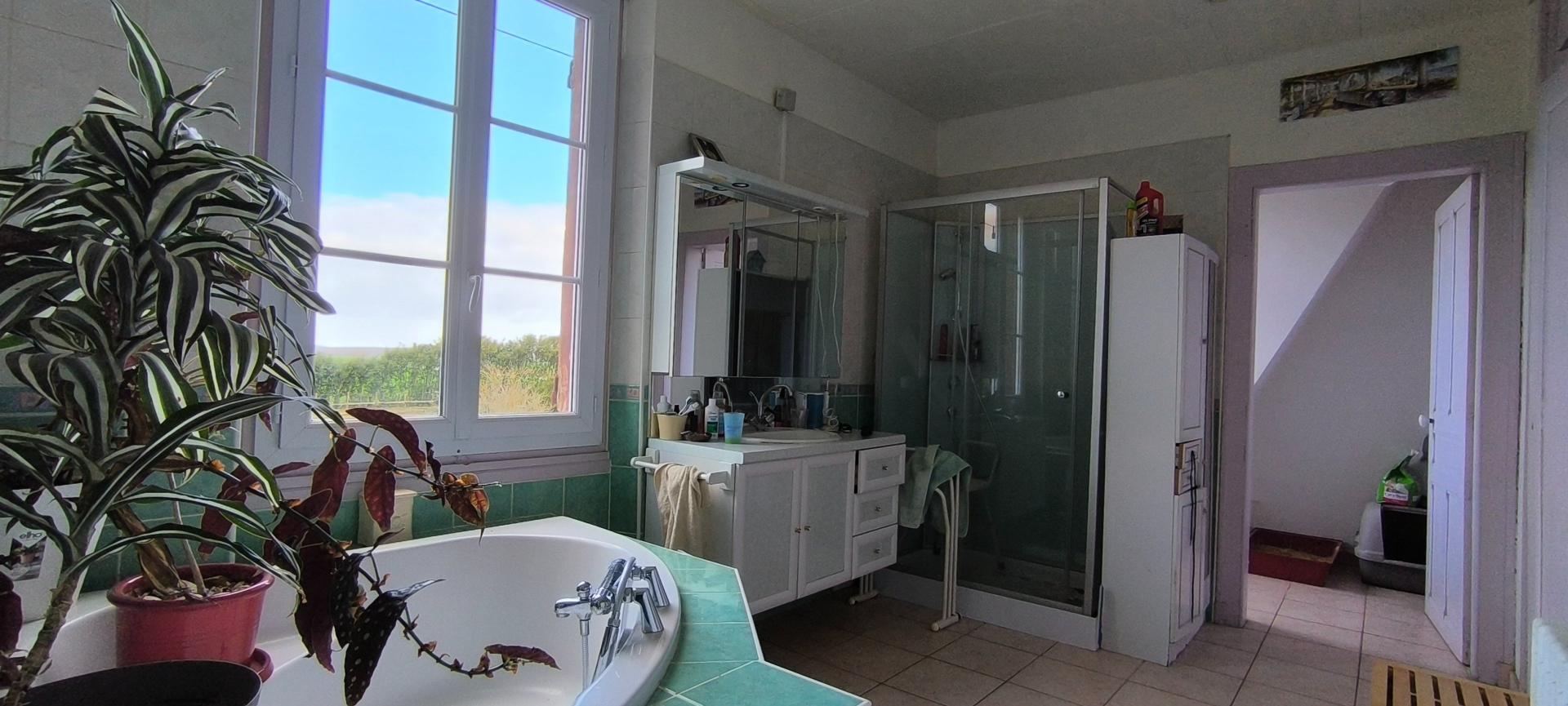 Photo 15 de l'annonce.