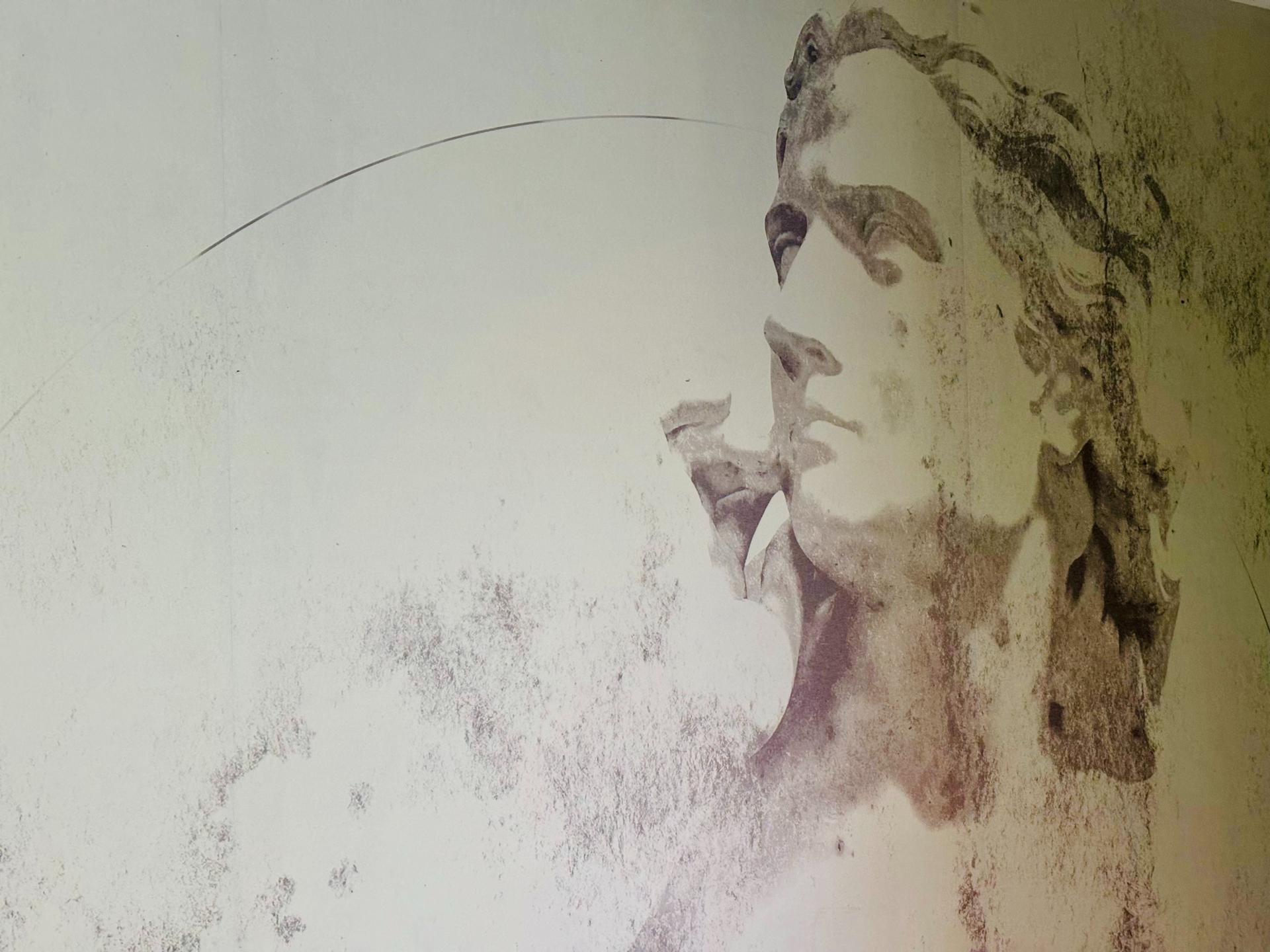 Photo 10 de l'annonce.