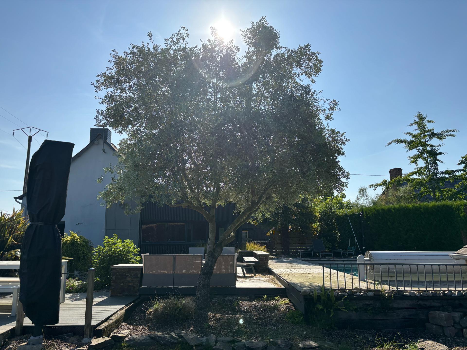 Photo 7 de l'annonce.