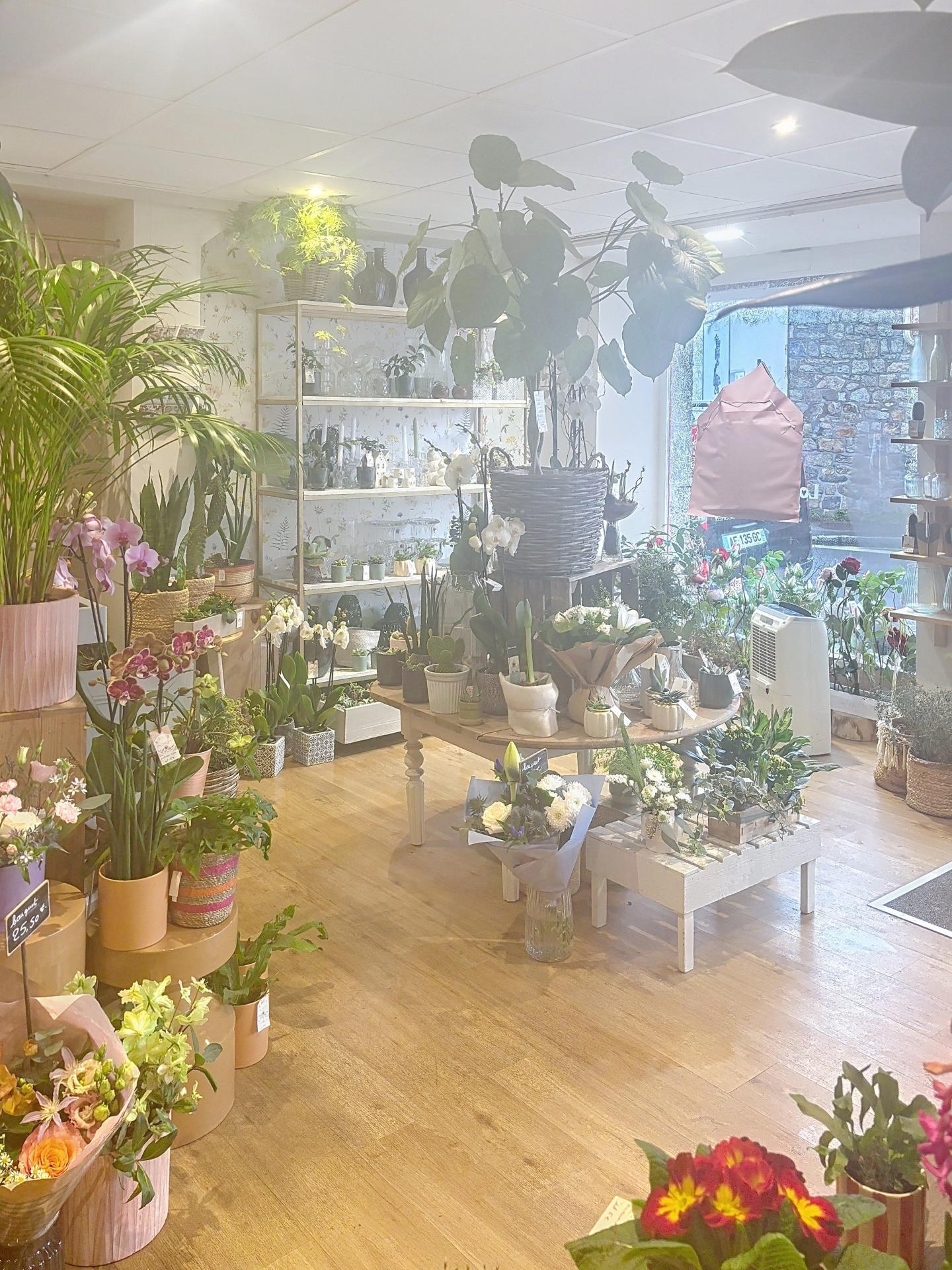 Photo-fonds_de_commerce