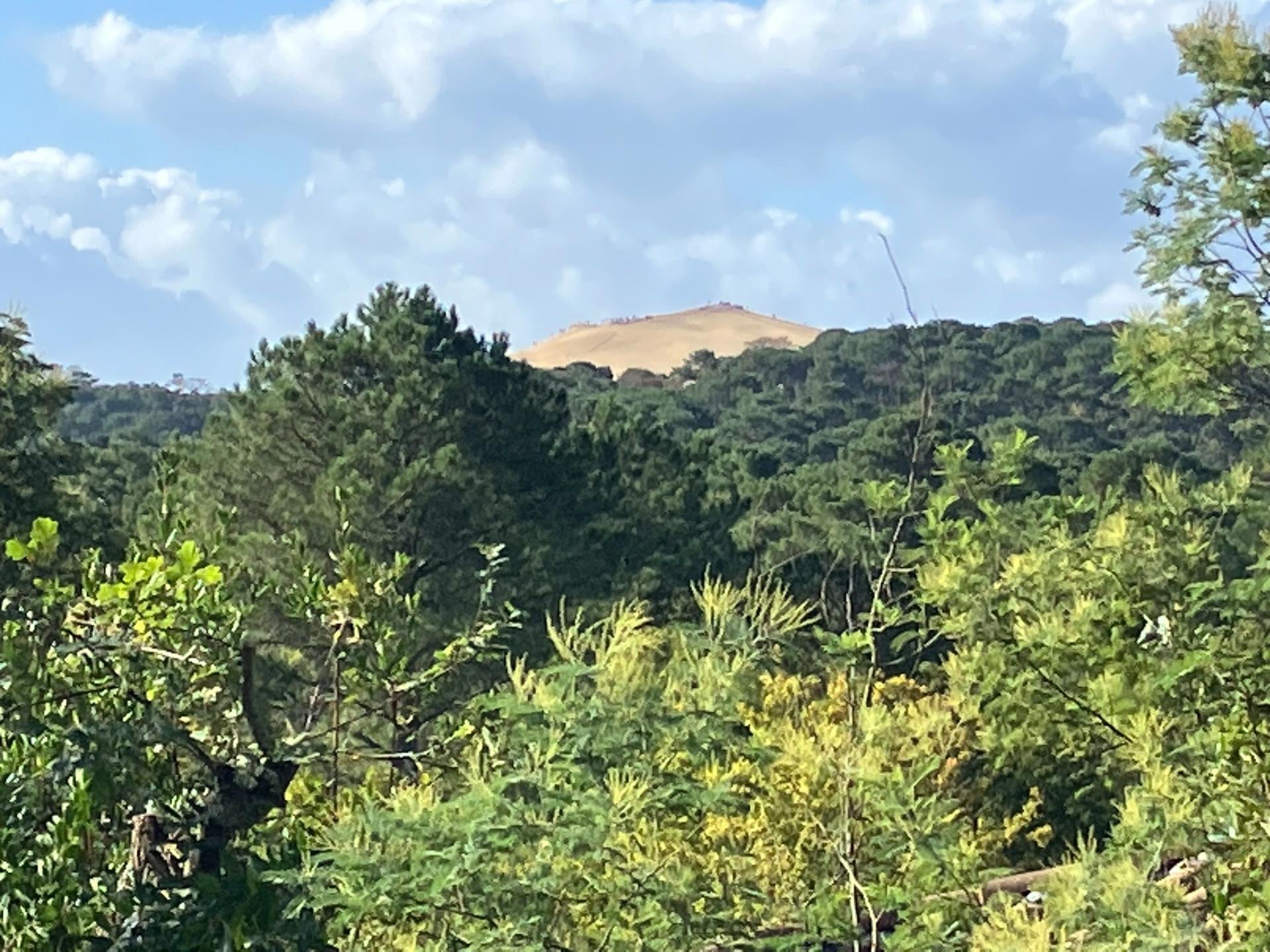 Photo 2 de l'annonce.