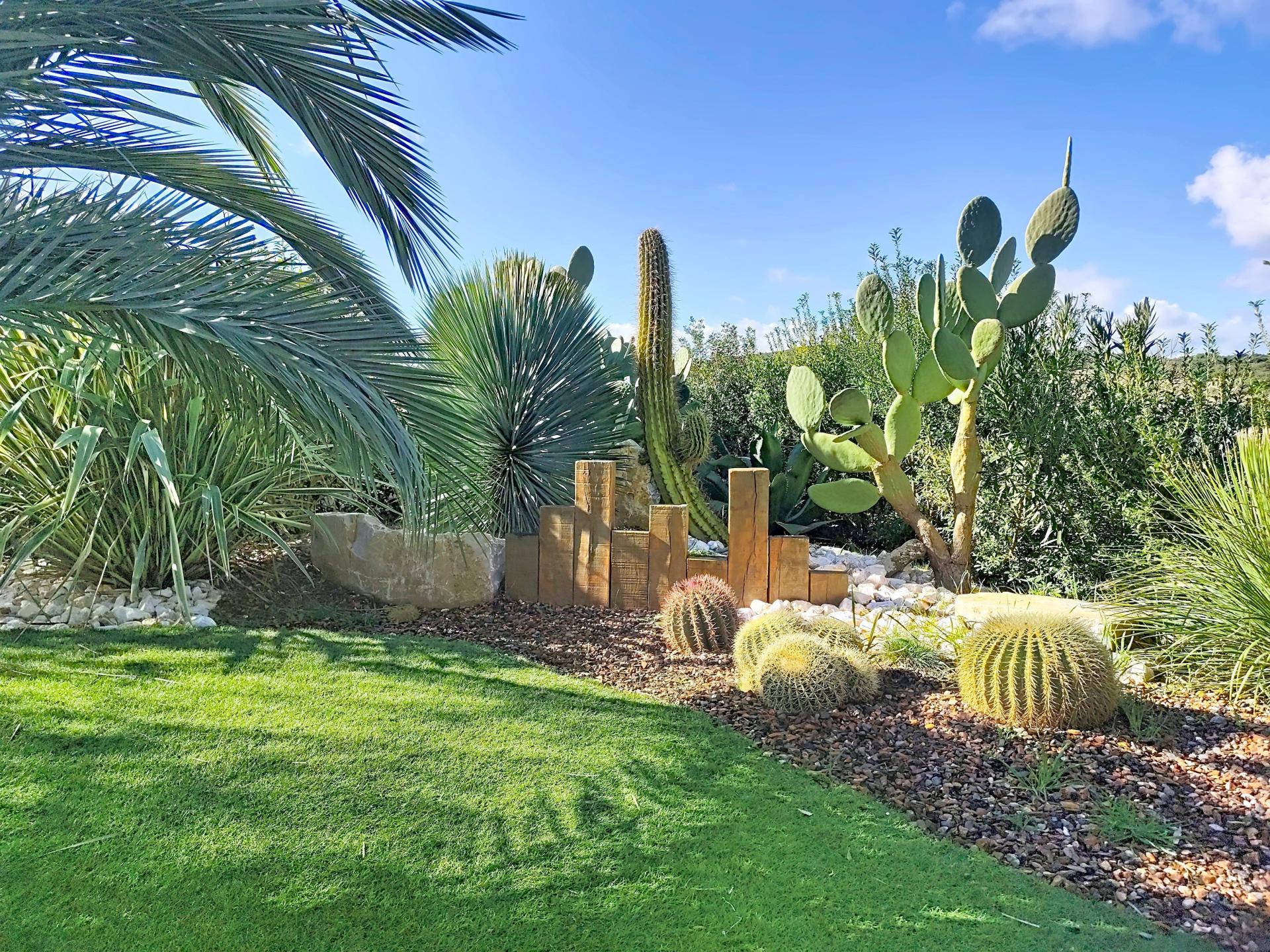 Photo 3 de l'annonce.