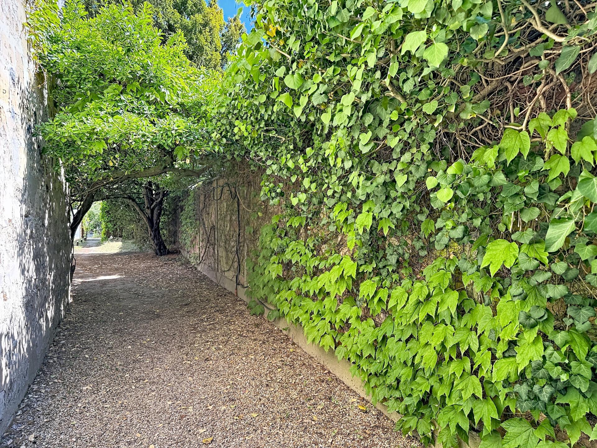 Foto 16 del anuncio.