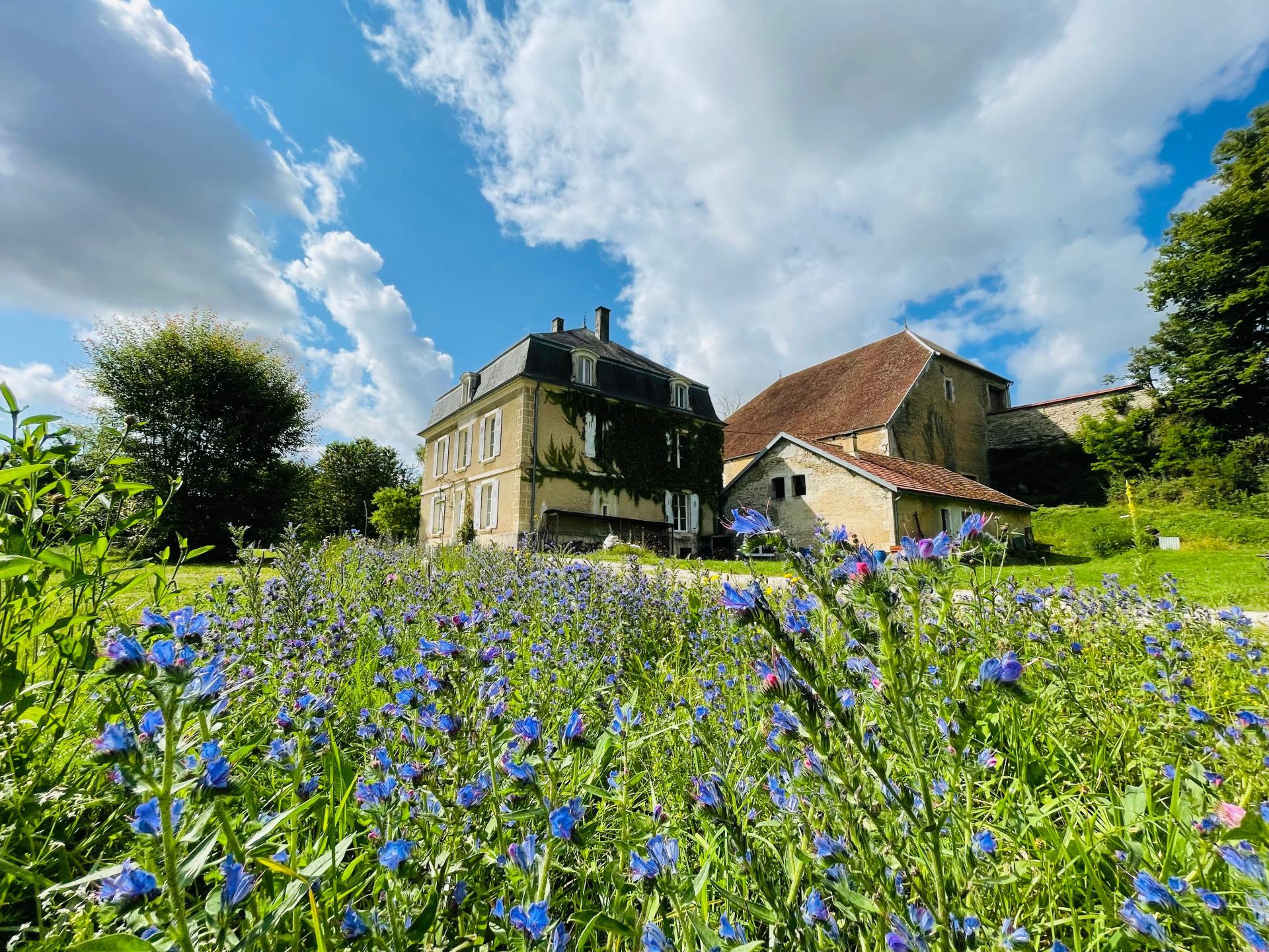 Photo 2 de l'annonce.