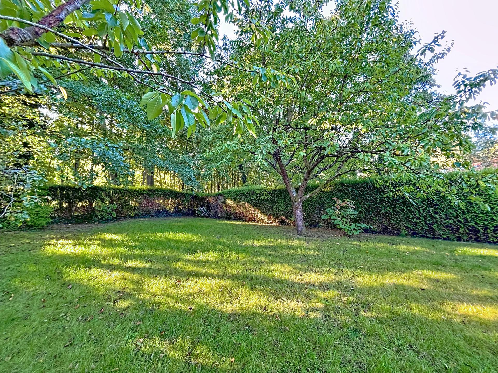 Foto 11 del anuncio.