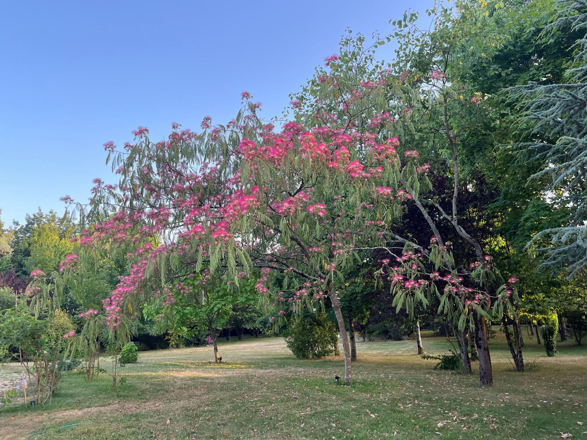 Photo 11 de l'annonce.